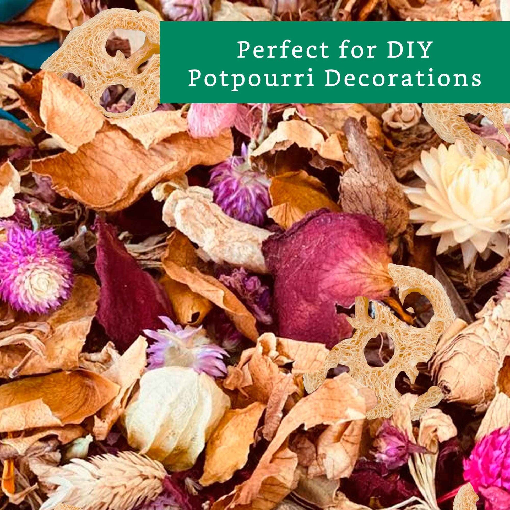 Natural Loofah Slices for Soap Making (20 Pack) - Organic Loufa Cuts - Bulk Luffa - Soap Making Supplies