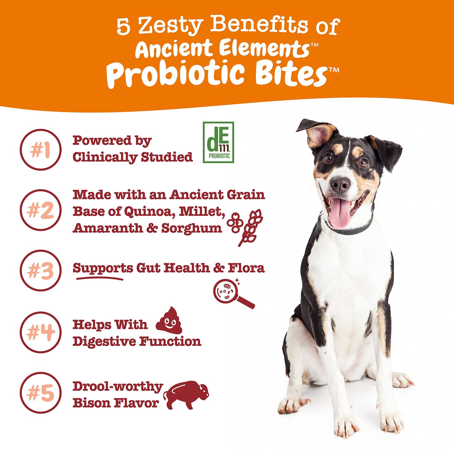 Zesty Paws Probiotics for Dogs - Digestive Enzymes for Gut Flora, Digestive Health, Diarrhea & Bowel Support - Clinically Studied DE111 - Dog Supplement Soft Chew for Pet Immune System - AE, 90 Ct