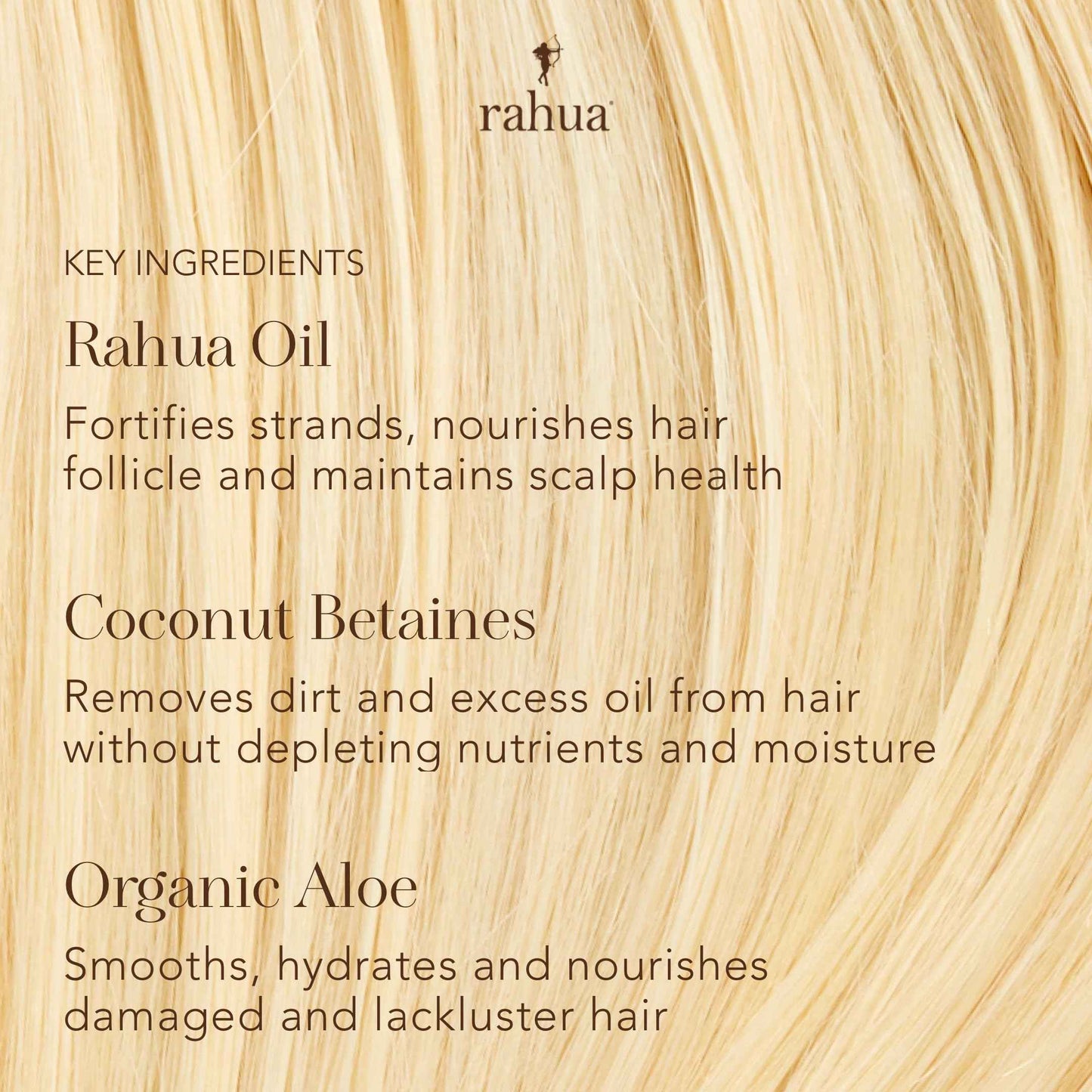 Rahua Classic Hair Conditioner, Vegan Hydrating Hair Care Oil, Quinoa, Organic Aloe Vera, Rosemary, Natural Palo Santo for Scalp Care, Promotes Growth, Silicone Free, 9.3 Fl Oz