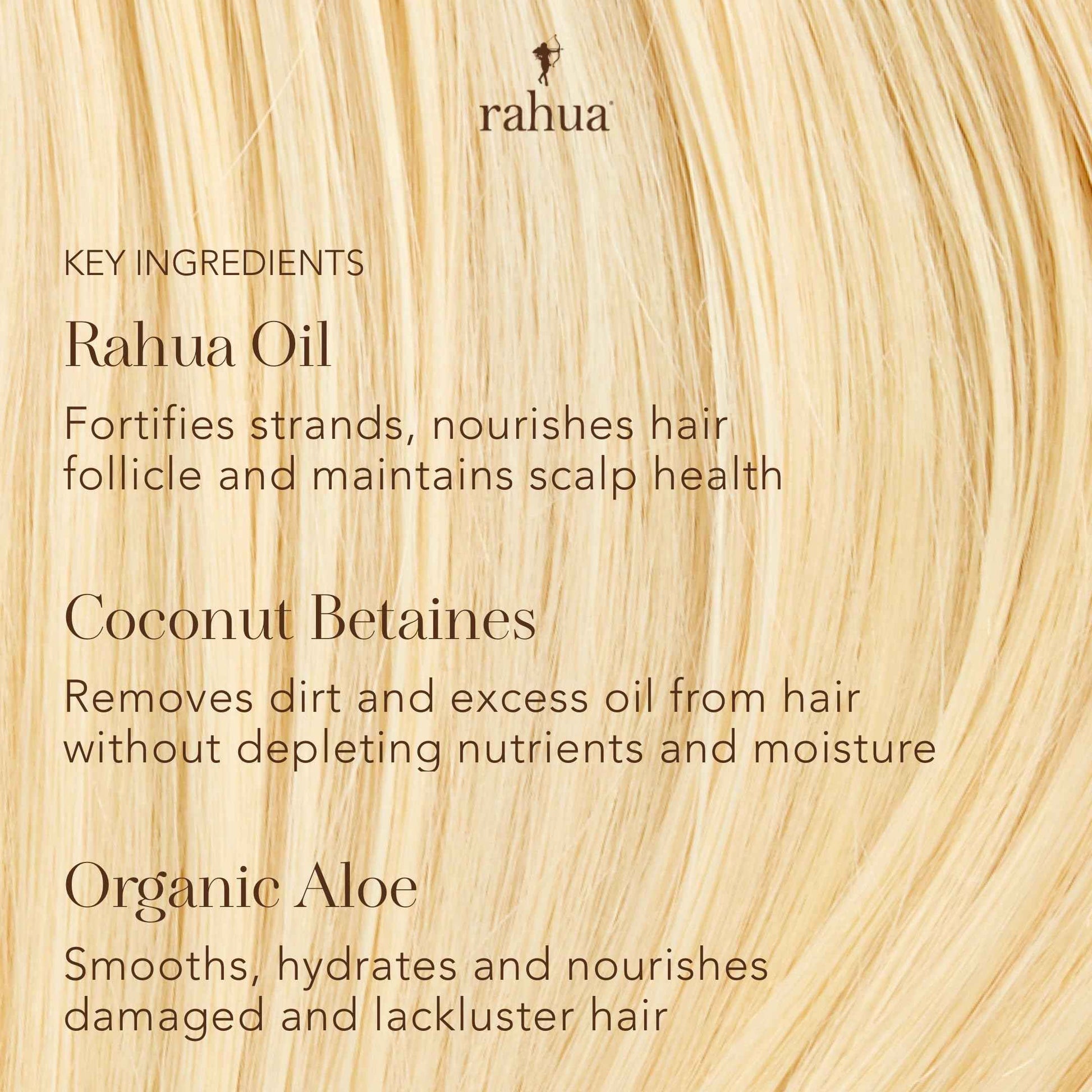 Rahua Classic Hair Conditioner, Vegan Hydrating Hair Care Oil, Quinoa, Organic Aloe Vera, Rosemary, Natural Palo Santo for Scalp Care, Promotes Growth, Silicone Free, 9.3 Fl Oz
