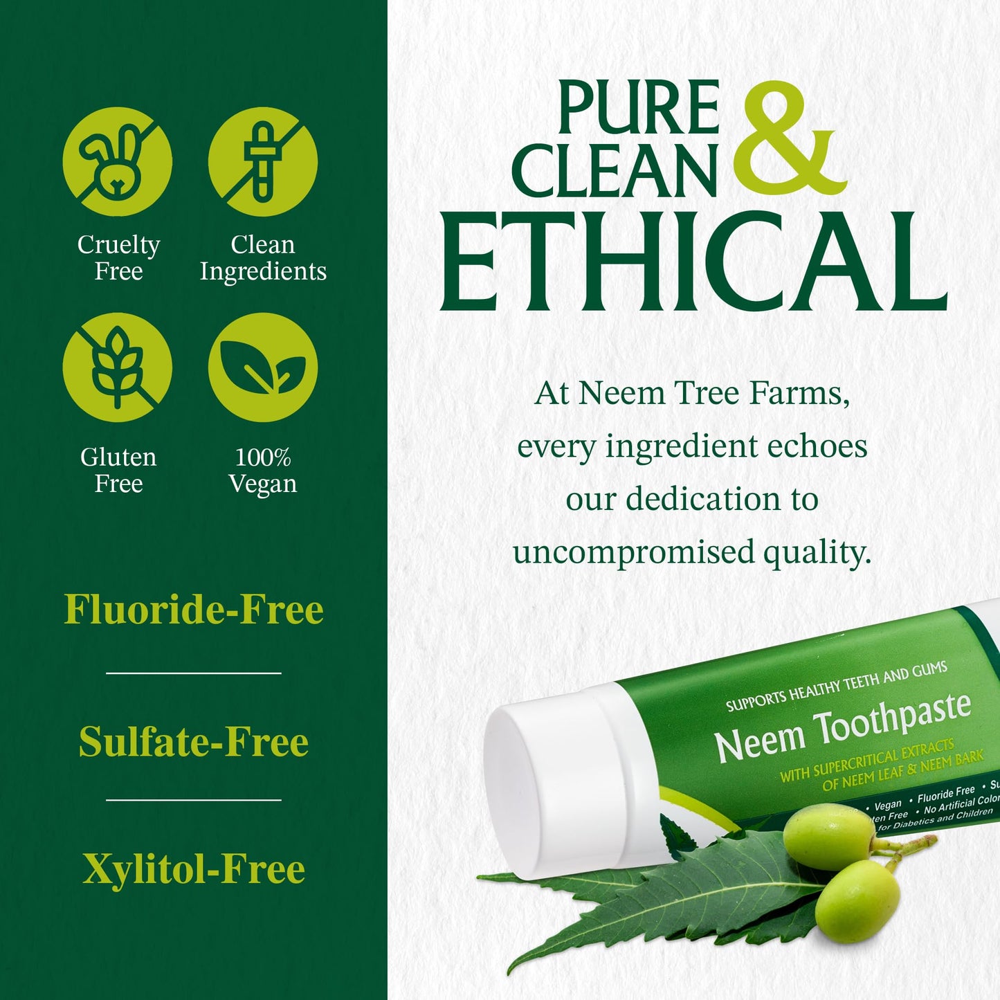 Neem Toothpaste - Fluoride Free Toothpaste Adult, Children & Diabetic Friendly - 100% Vegan Natural Toothpaste Fluoride Free, Gluten Free, No Artificial Ingredients - with Clove & Stevia (4 pk)