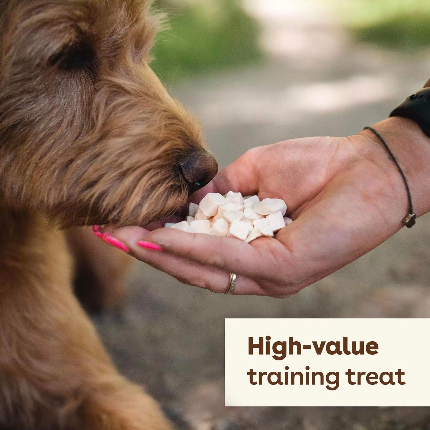 Pupford Freeze Dried Training Treats for Dogs & Puppies, 450+ One Ingredient Bites (Sweet Potato, 4 oz)