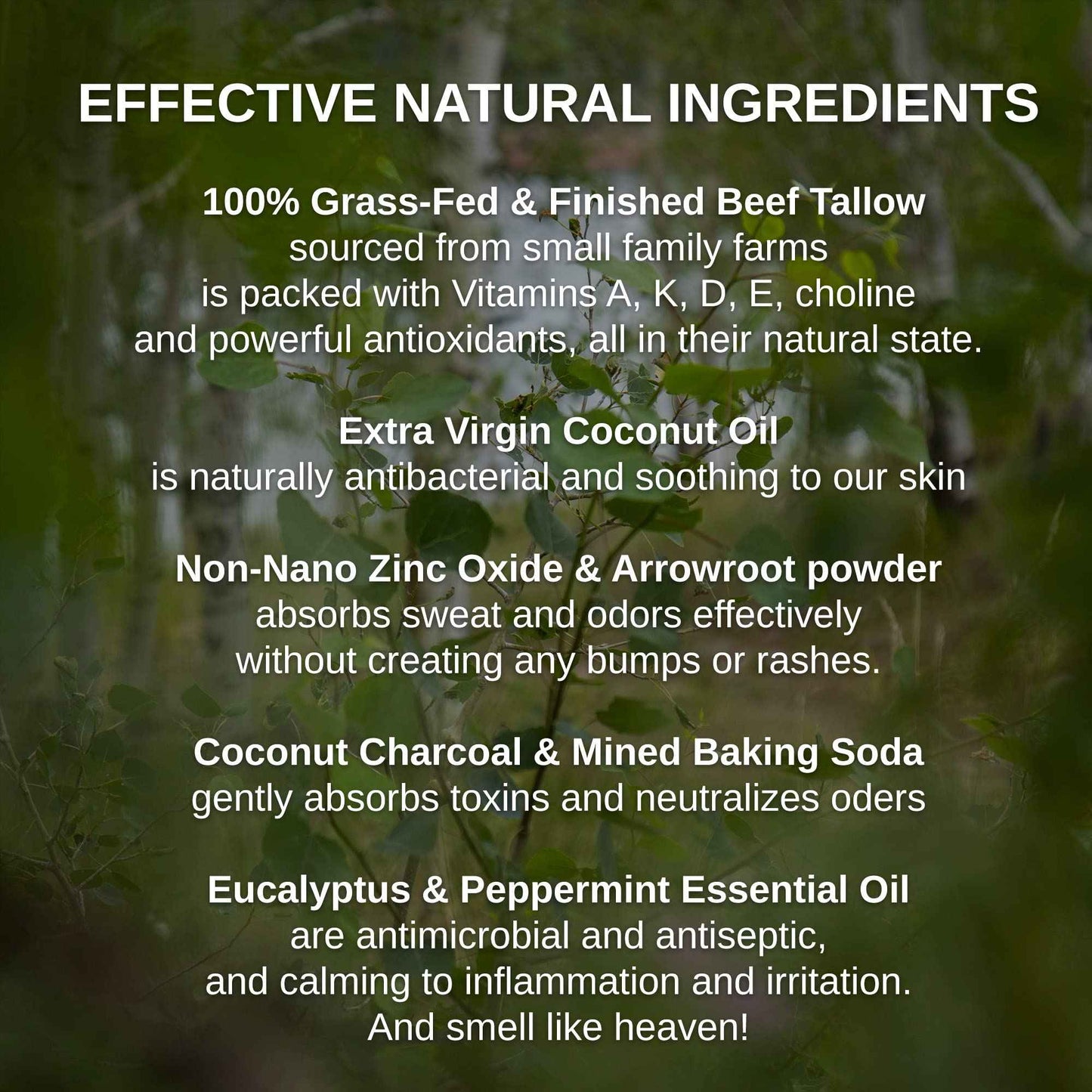 Shwally Zinc & Charcoal Deodorant – A True Natural, Tallow-Based & Effective Deodorant for Men & Women –– Aluminum Free with Coconut & Arrowroot – Lasts 4X Longer (Eucalyptus + Peppermint, 2.5 oz)