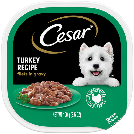 CESAR Filets in Gravy Adult Wet Dog Food, Turkey Recipe, 3.5 oz., Pack of 24