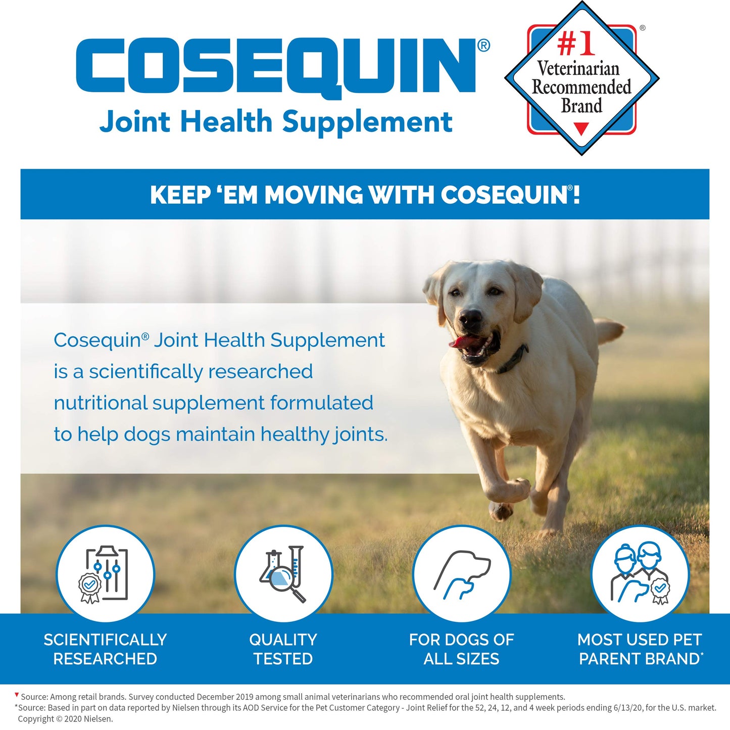 Nutramax Laboratories Cosequin Maximum Strength Joint Health Supplement for Dogs - With Glucosamine, Chondroitin, and MSM, 60 Chewable Tablets