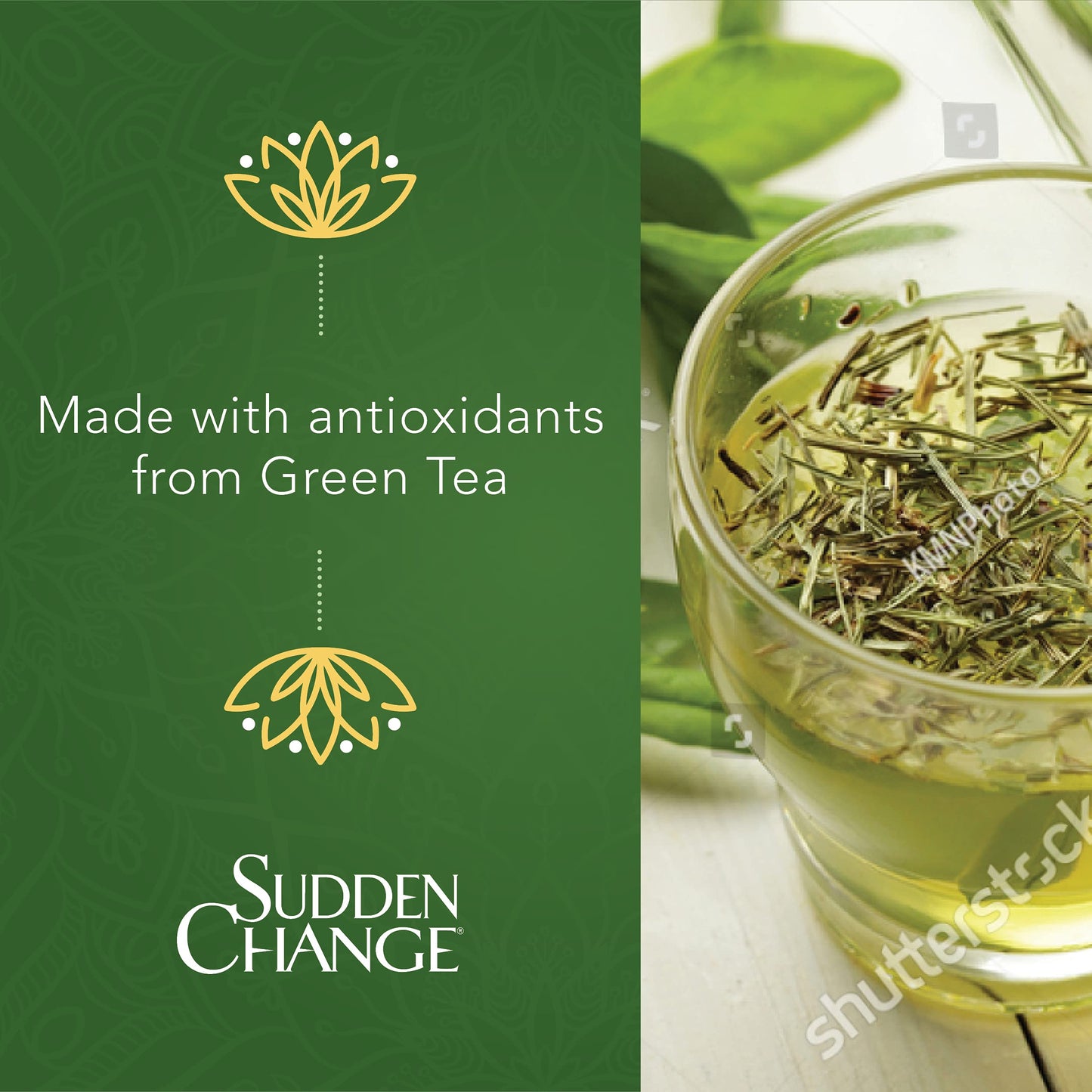 Sudden Change Green Tea Facial Mask 3.4oz by Sudden Change