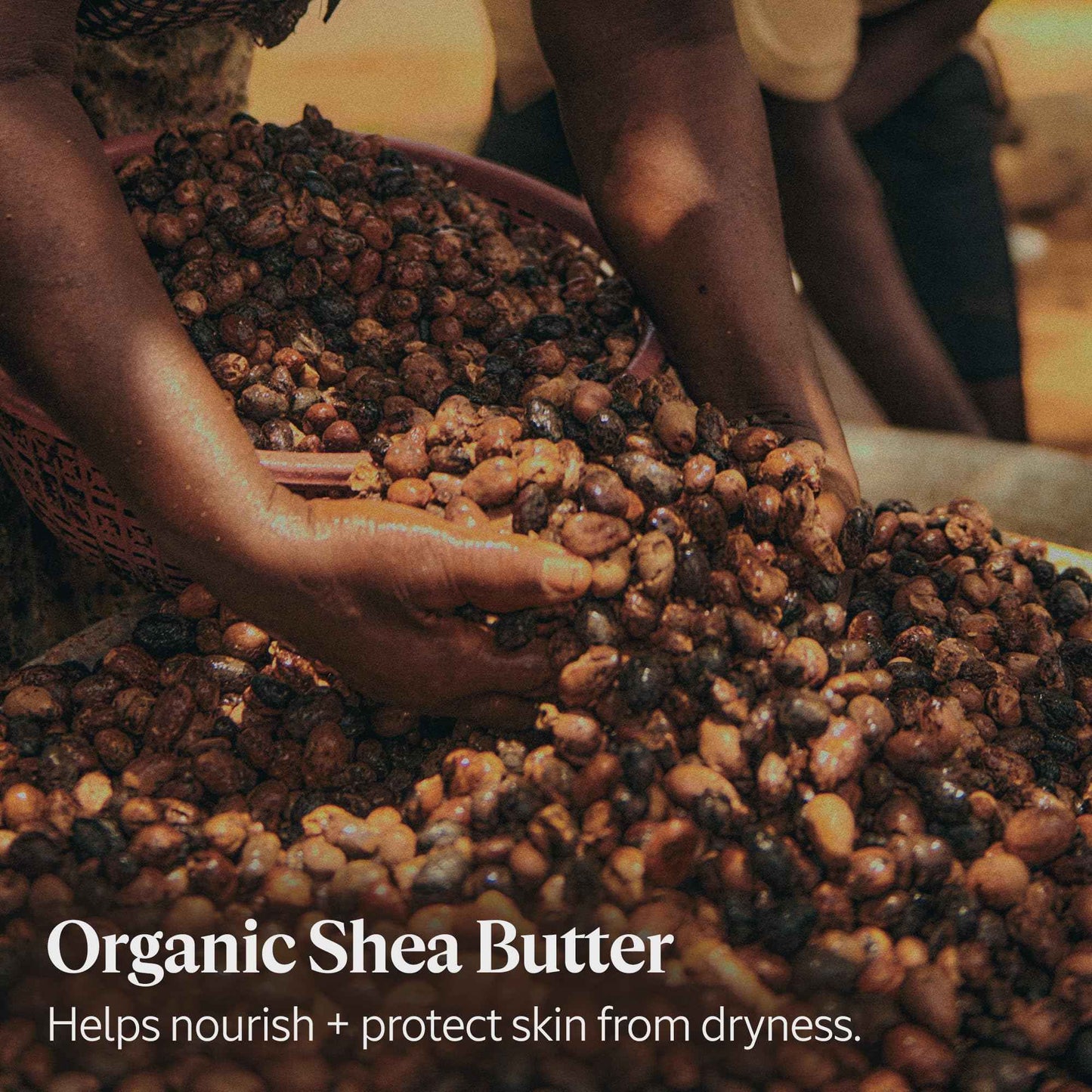 L'Occitane Shea Butter Hands & Body Verbena Extra-Gentle Lotion 10.10 fl. oz