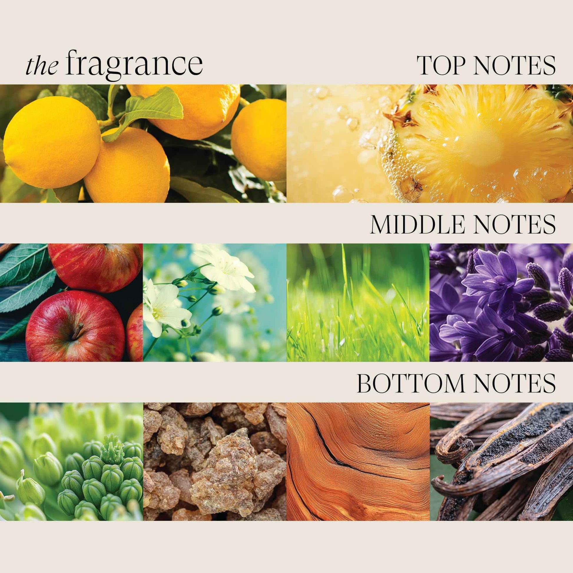 L'ANZA Healing ColorCare Silver Brightening Shampoo, for Silver, Gray, White, Blonde & Highlighted Hair, Boosts Shine and Brightness while Healing, Controls Unwanted Warm Tones (10.1 Fl Oz)