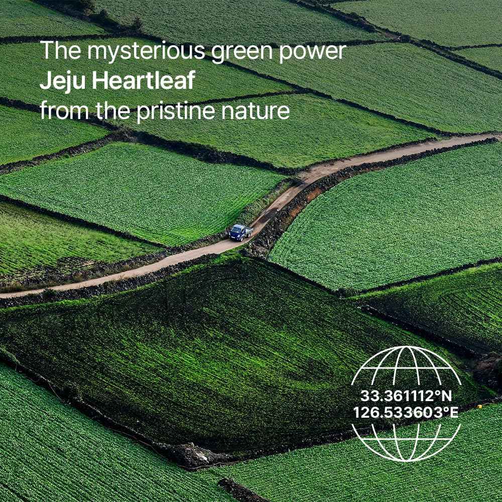 Parnell Panthenol 3.89% | 50ml / 1.69 fl.oz. | Heartleaf Calming Capsule Cream, Acne soothing cream, korea skin care, korea beauty