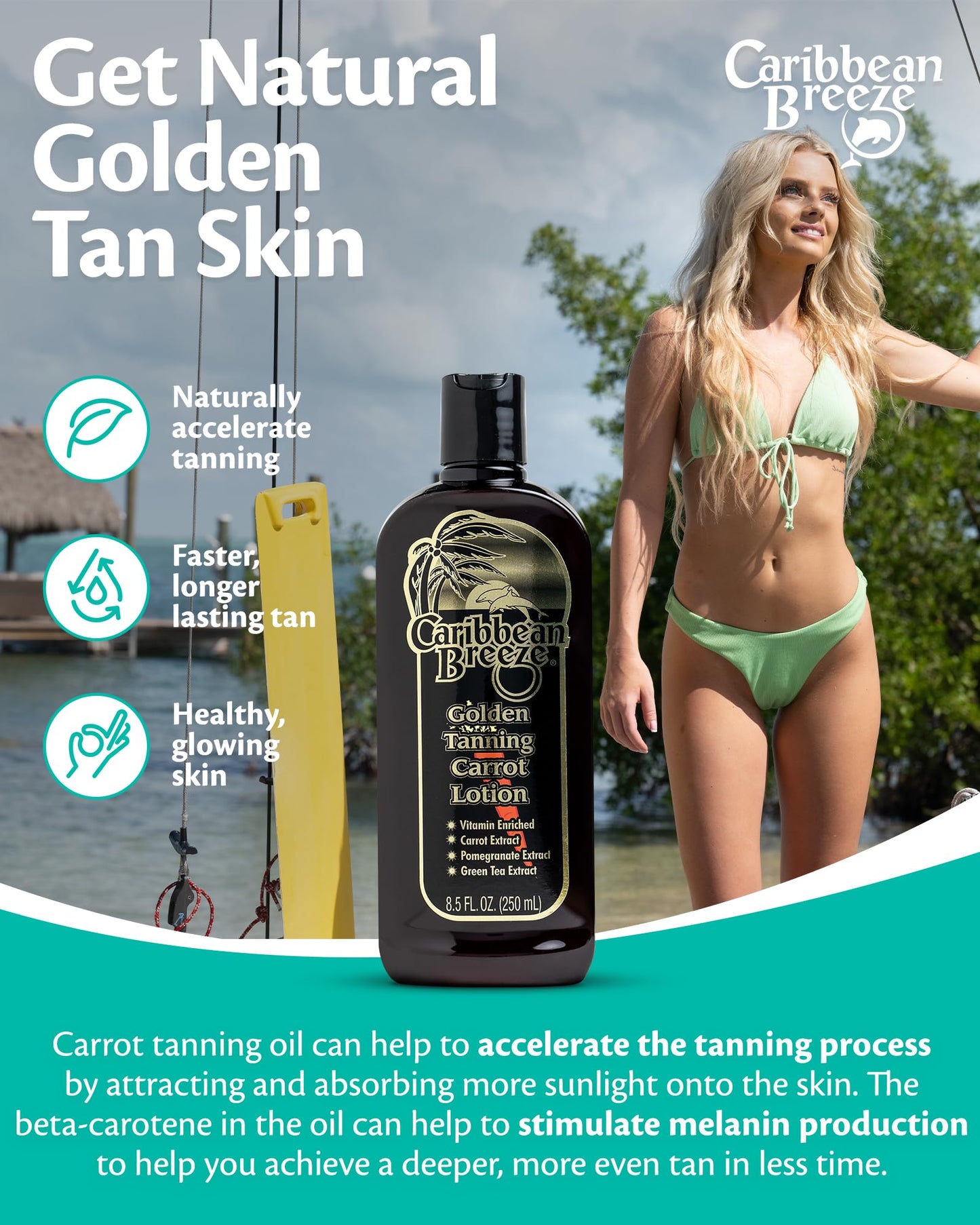 Caribbean Breeze Ultimate Carrot Oil Tanning Lotion Outdoor, Tanning Oil Spray with Coconut Oil, Aloe Extracts, Rich in Anti-Oxidants, Moisturizes the Skin and Anti-Aging Properties, 8.5 oz (250 ml)