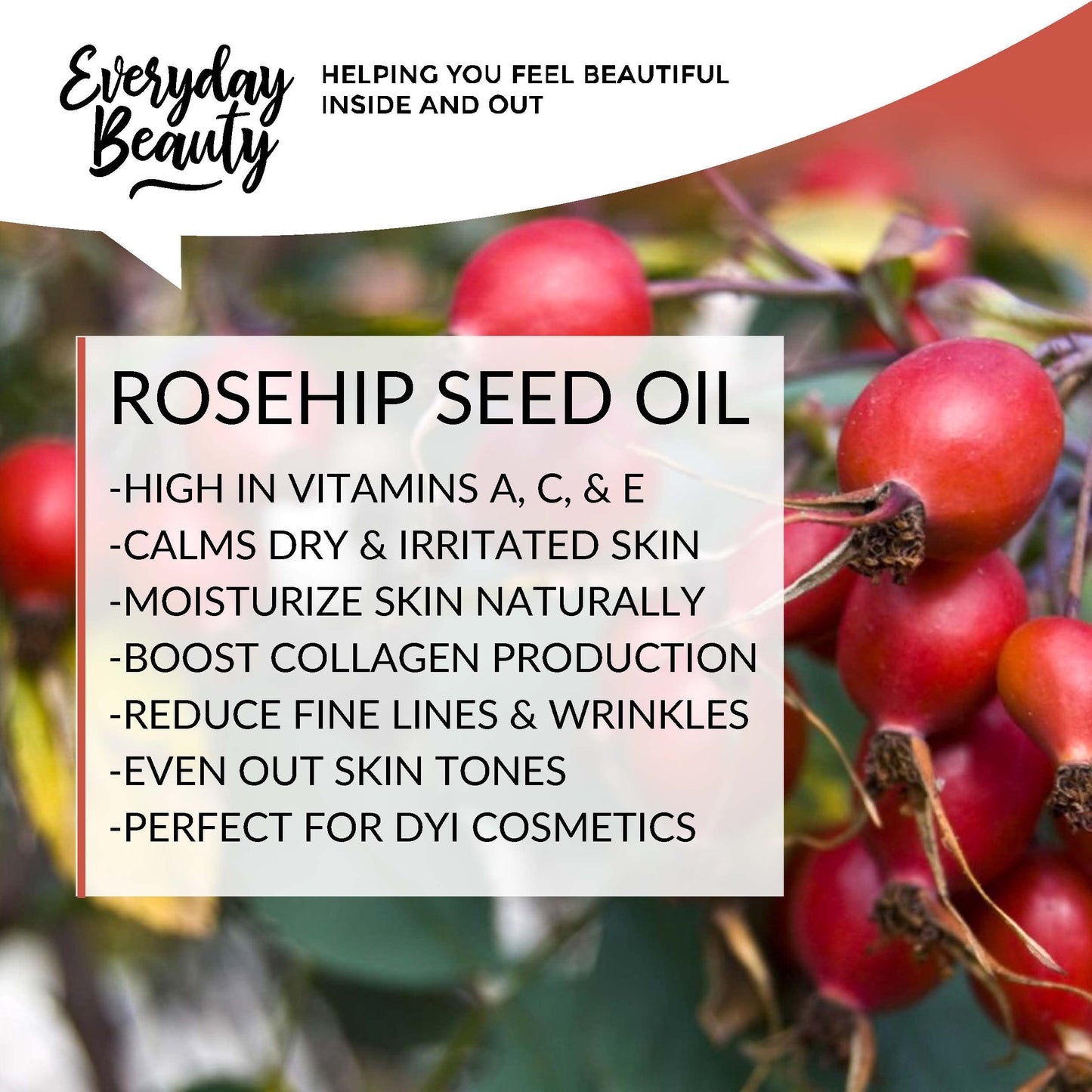 Rosehip Seed Oil - 100% Pure Extra Virgin Unrefined Luxury Oil 4oz - Cold Pressed & All Natural for Face, Skin and Hair - DIY Cosmetics - Premium Quality Bulk Price