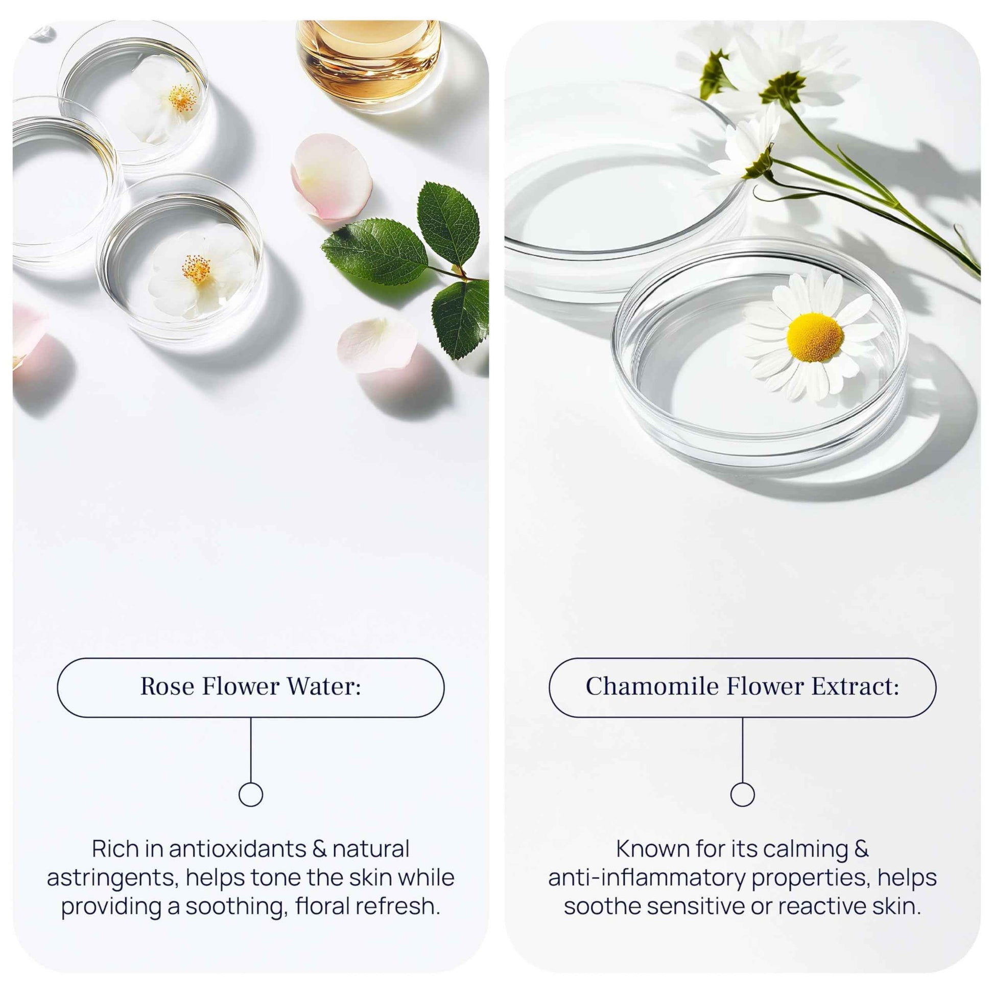 PUREANCE Cleansing Foam - Face Wash for Women - Gentle Foaming Facial Cleanser - Sensitive Skin Facewash - With Calendula, Chamomile, Lactic Acid & More - 5.07 Fl Oz