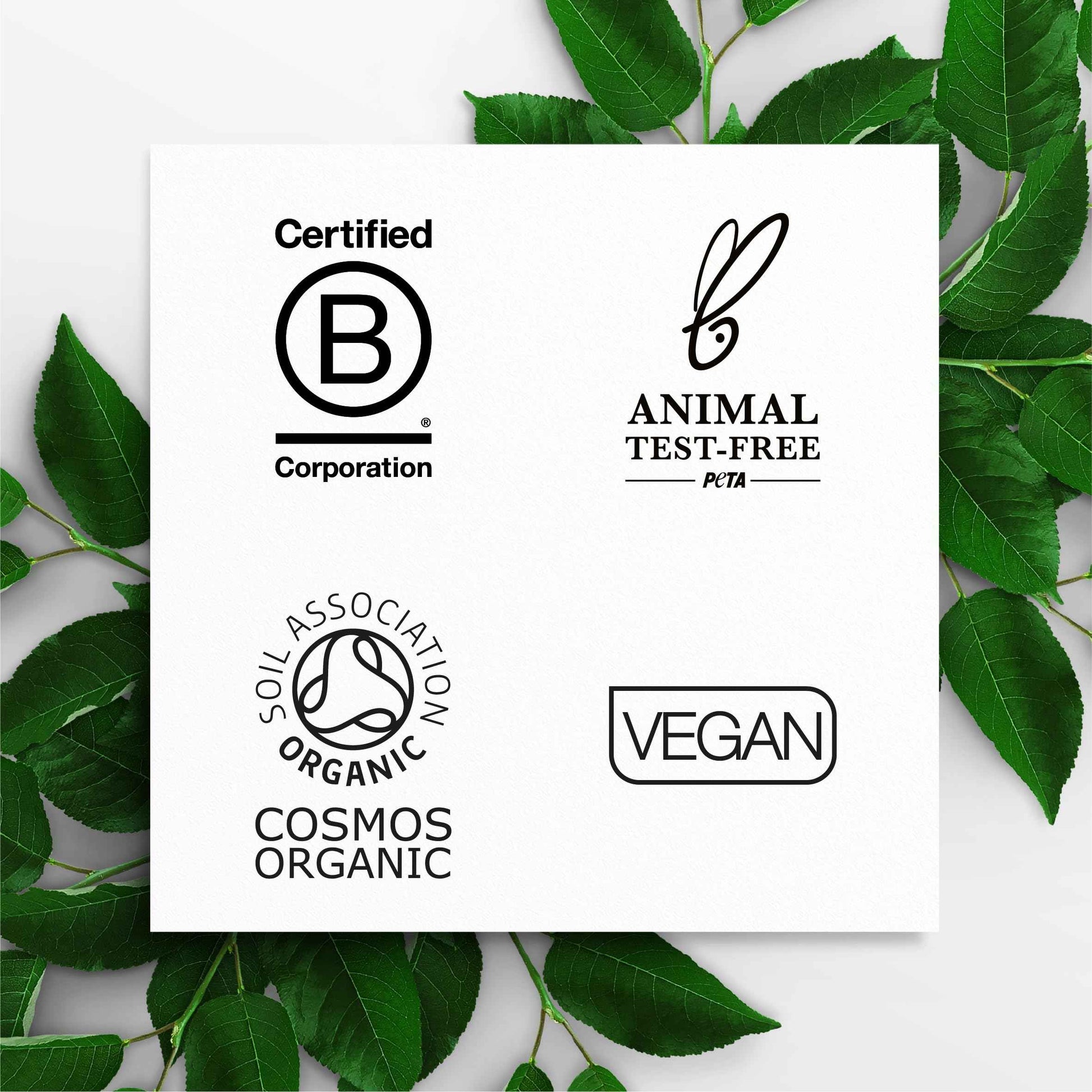 Dr. Organic Ageless Daily Hydration Gel with Seaweed | Hydrating, Tones & Smoothes Complexion, Certified Organic, Paraben & SLS-Free, Recyclable, 50 mL / 1.7 fl oz