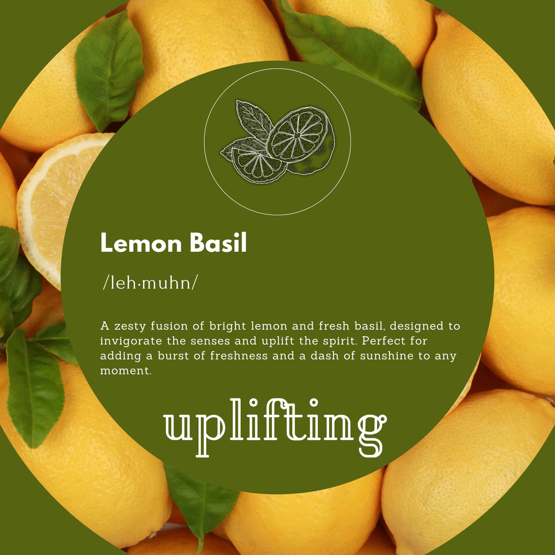 Puremax Foaming Hand Soap Refills | Lemon Basil | All-Natural | Gentle, Moisturizing | Made in USA | 128 Fl Oz (1 Gallon)