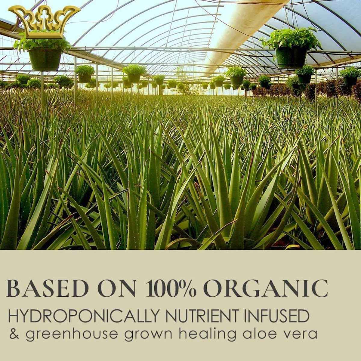 GUNILLA Cell Rejuvenator Serum | Anti-Aging Anti Wrinkle Hydrating Facial Serum for Fine Lines, Dark Spots with Organic Aloe Vera, Collagen, Elastin, Keratin, Vitamin C, Ginseng | 1 oz