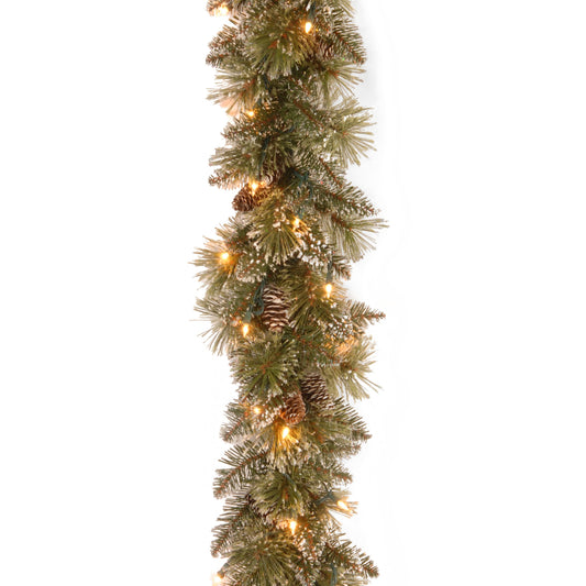 National Tree Company Pre-Lit Artificial Christmas Garland, Green, Glittery Bristle Pine, White Lights, Decorated With Pine Cones, Frosted Branches, Plug In, Christmas Collection, 9 Feet