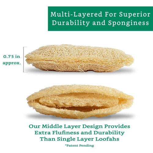 Natural Loofah Exfoliating Sponge (3 Pack) - Loofa Exfoliating Body Scrubber - Biodegradable Organic Loofah Sponge - Shower Luffa Sponges - Shower Lufa - Estropajos para el Cuerpo