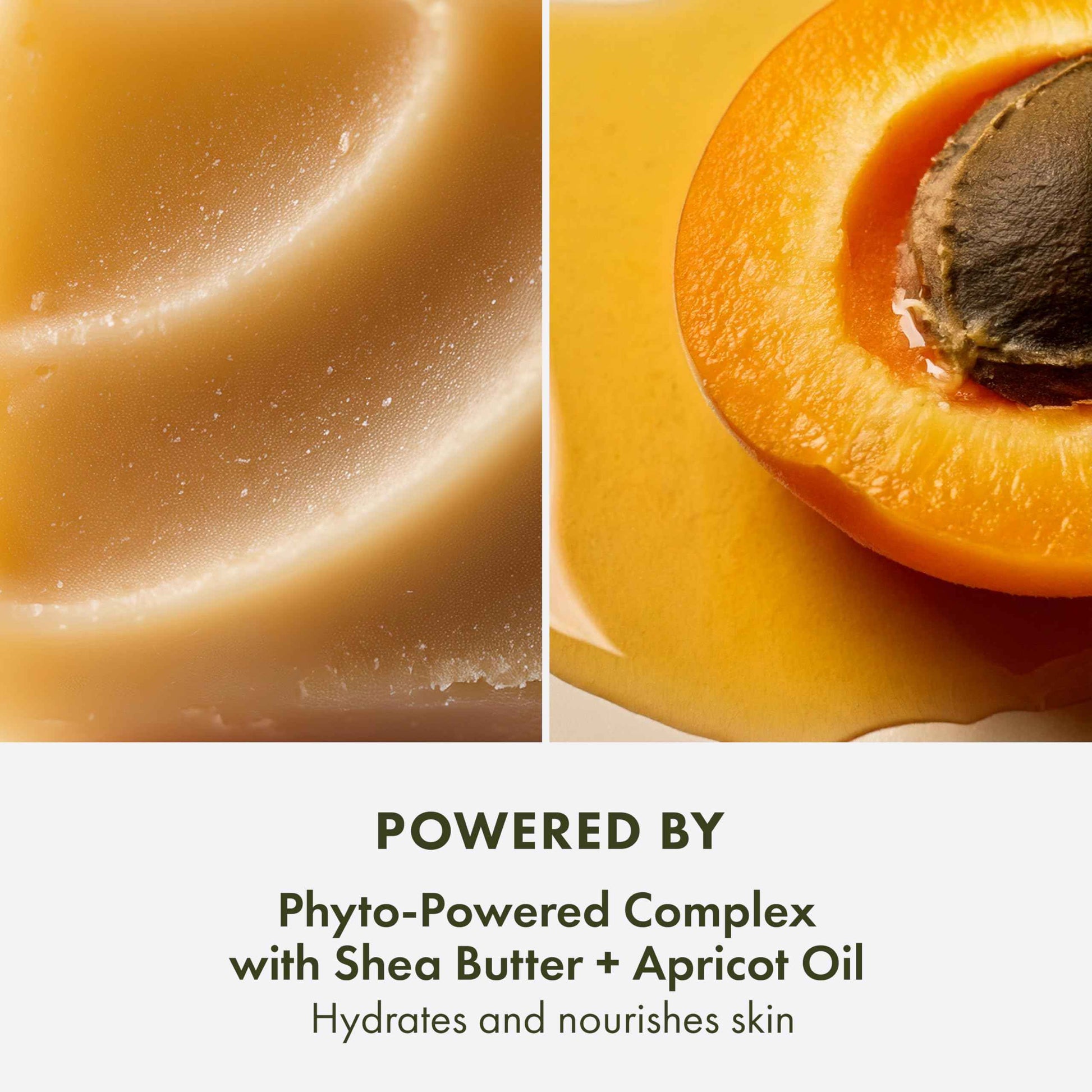 Origins Plantfusion Softening Hand & Body Lotion | Softens Dry Skin & Smooths Over Time | With Naturally-Derived Hyaluronic Acid & Salicylic Acid, 6.7 Fl Oz