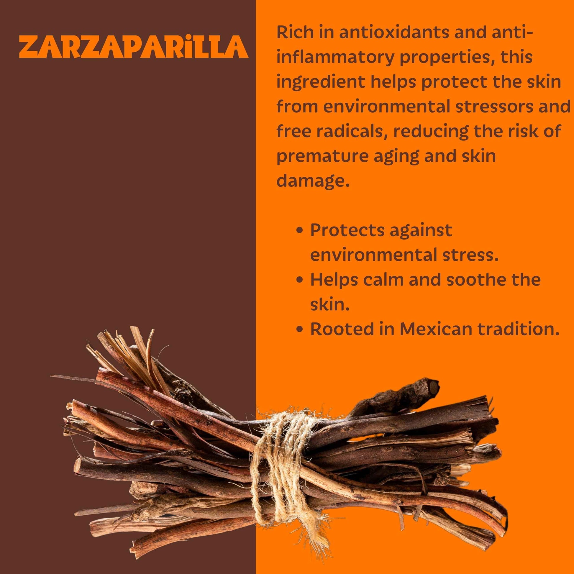 Setú Vitamin C Serum for Men | Brightening Serum with Camu Camu & Zarzaparrilla | Helps Provide Antioxidants for Younger-Looking Skin | Revitalizing & Fast-Absorbing | 1 fl. oz | 30 ml