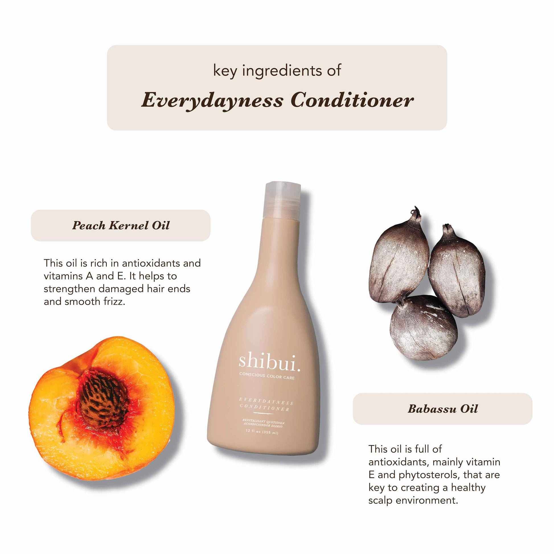 Shibui Everydayness Conditioner, Lightweight Hydration & Color Protection with Peach & Babassu Oils for Fine to Medium Hair, Color-Safe & Silicone-Free, 12 Fl Oz