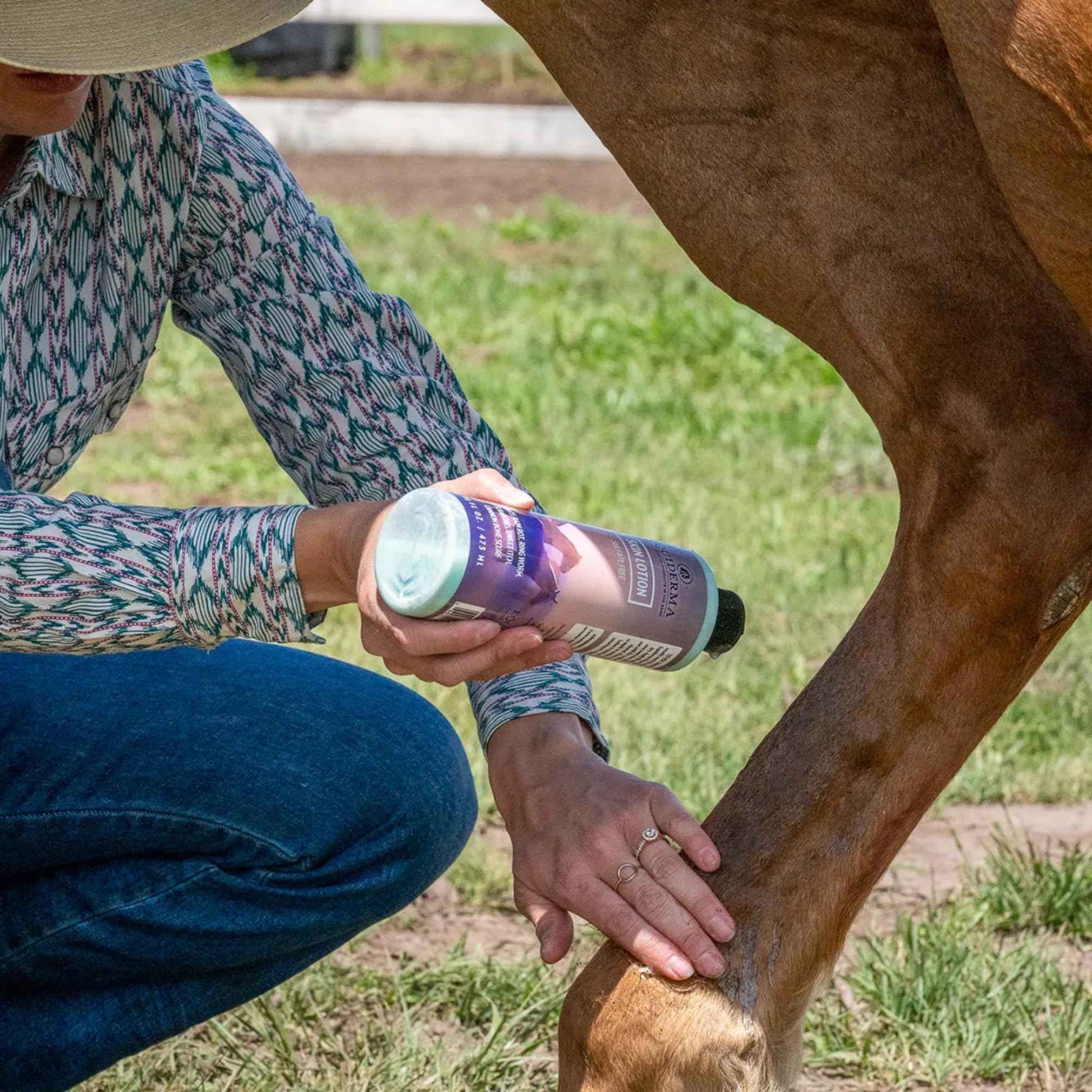 EQUIDERMA Horse Skin Lotion – 16 oz | All-in-One Equine Skin Care for Cannon Bone Scurf, Mane & Tail Itching, Midline Irritation, Dry Patches & Coat Health Support