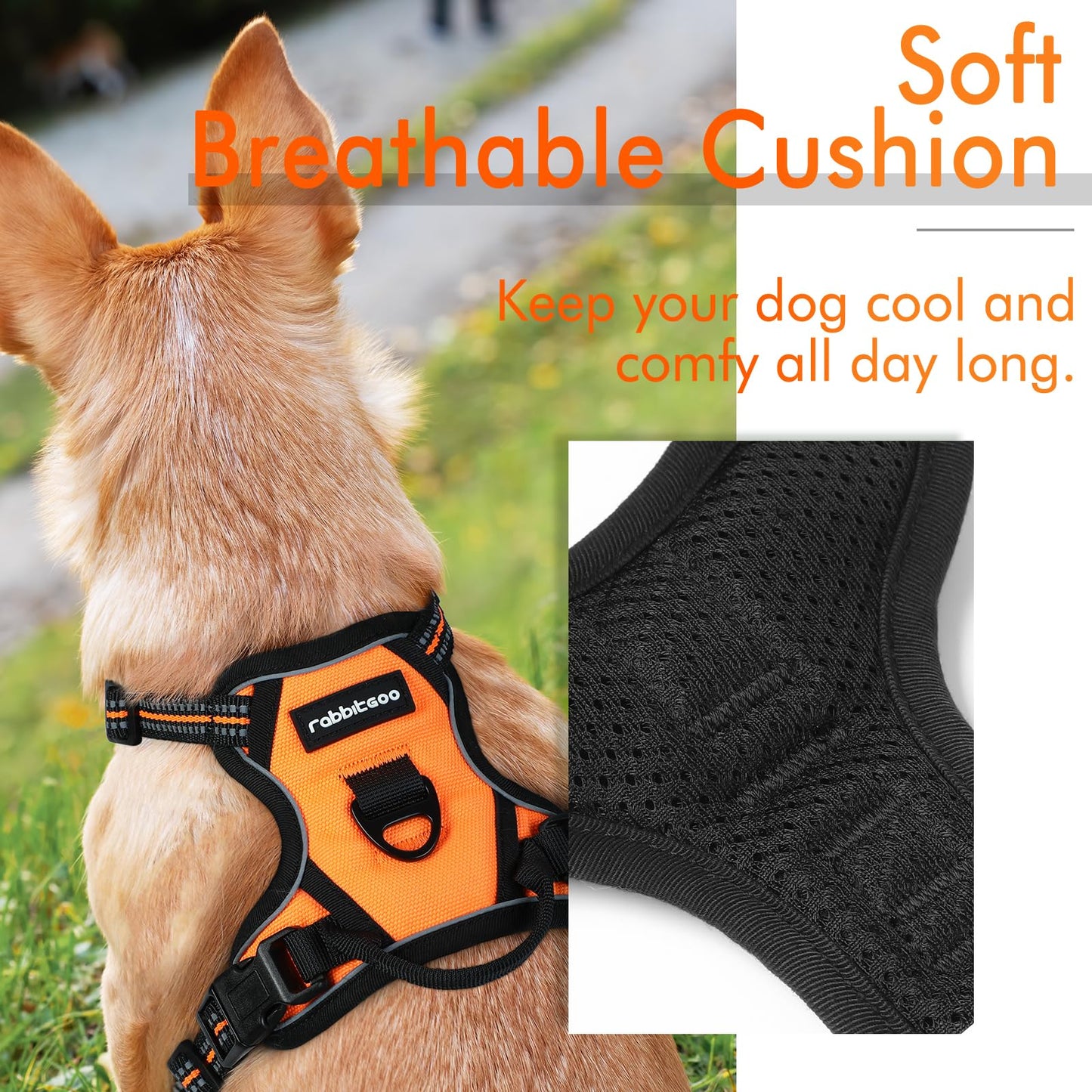 rabbitgoo Dog Harness, No-Pull Pet Harness with 2 Leash Clips, Adjustable Soft Padded Dog Vest, Reflective No-Choke Pet Oxford Vest with Easy Control Handle for Small Dogs, Orange,XS