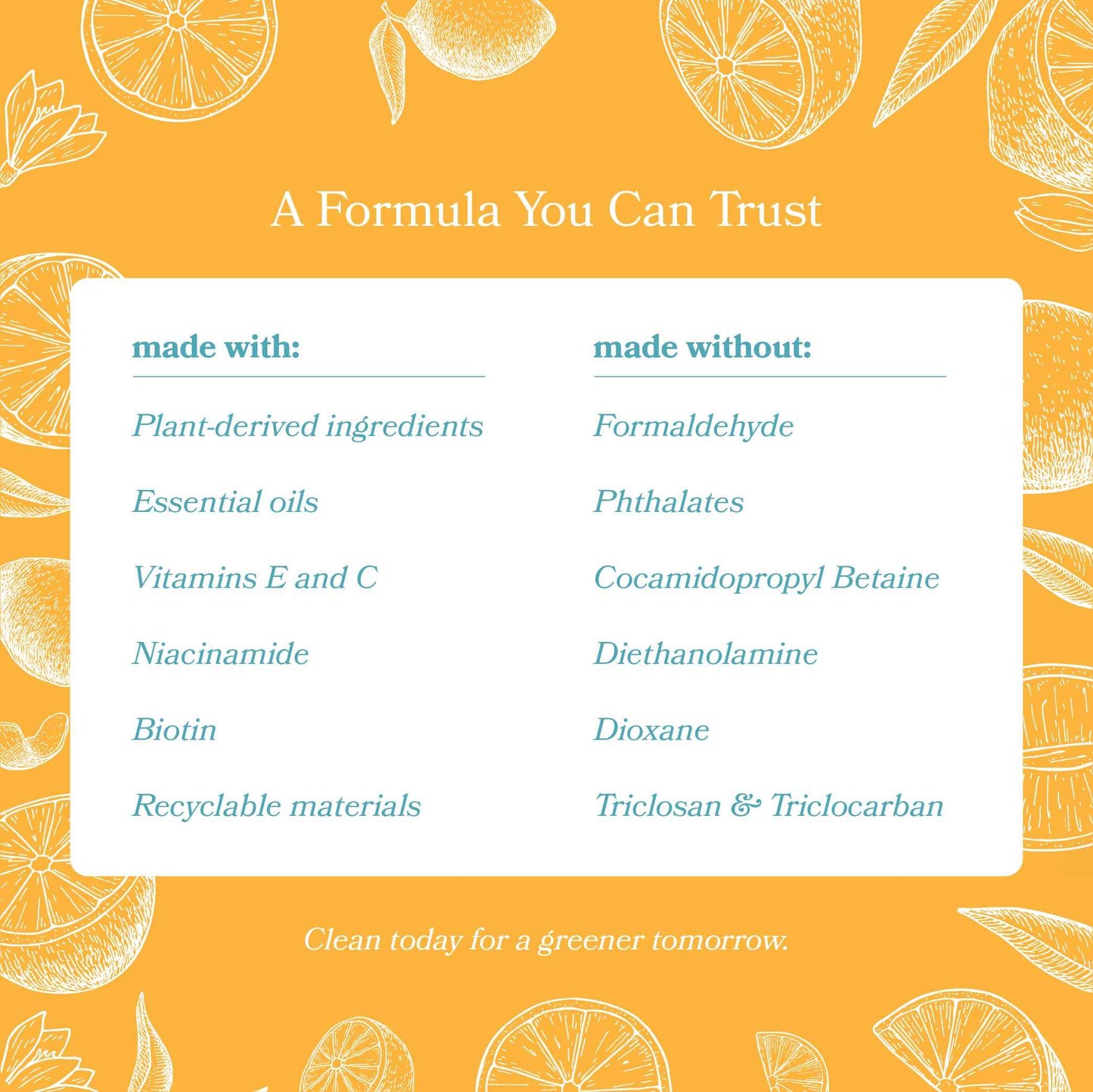 ZYFE Foaming Hand Soap Refills, Half Gallon Hand Soap Foam Refill with Essential Oil Fragrance in Recycled Bottle, Citrus Handwash Refil Biodegradable+