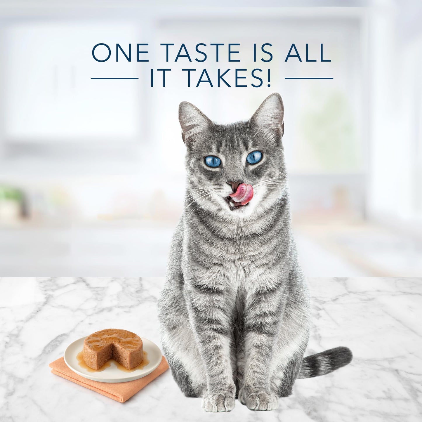 Blue Buffalo Tastefuls Natural Pate Wet Cat Food, Chicken Entrée 3-oz cans (Pack of 24)