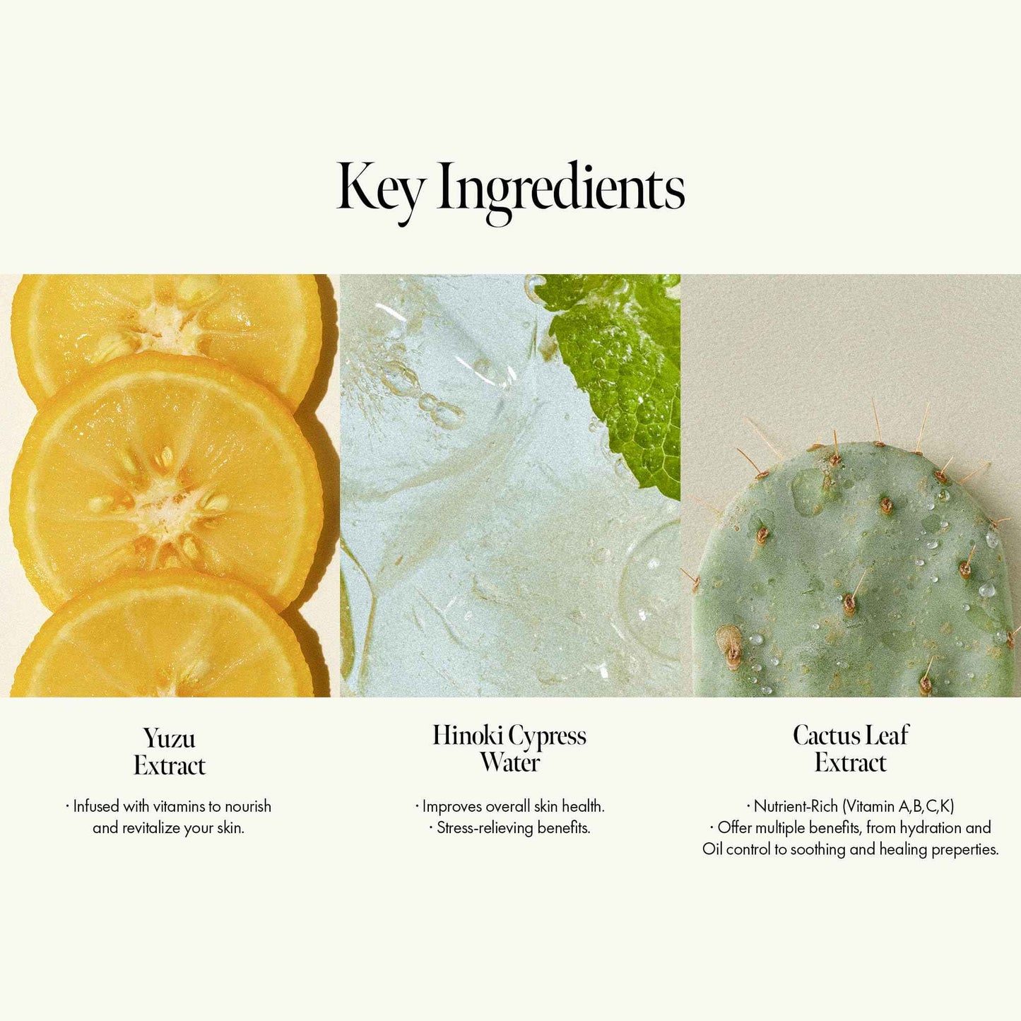 Amber528 Body Wash – Vegan, Sulfate-Free Cleanser with Yuzu & Amber, Hydrating & Soothing, pH-Balanced, Gentle for All Skin Types, Subtle Scent, 15.22 fl. oz