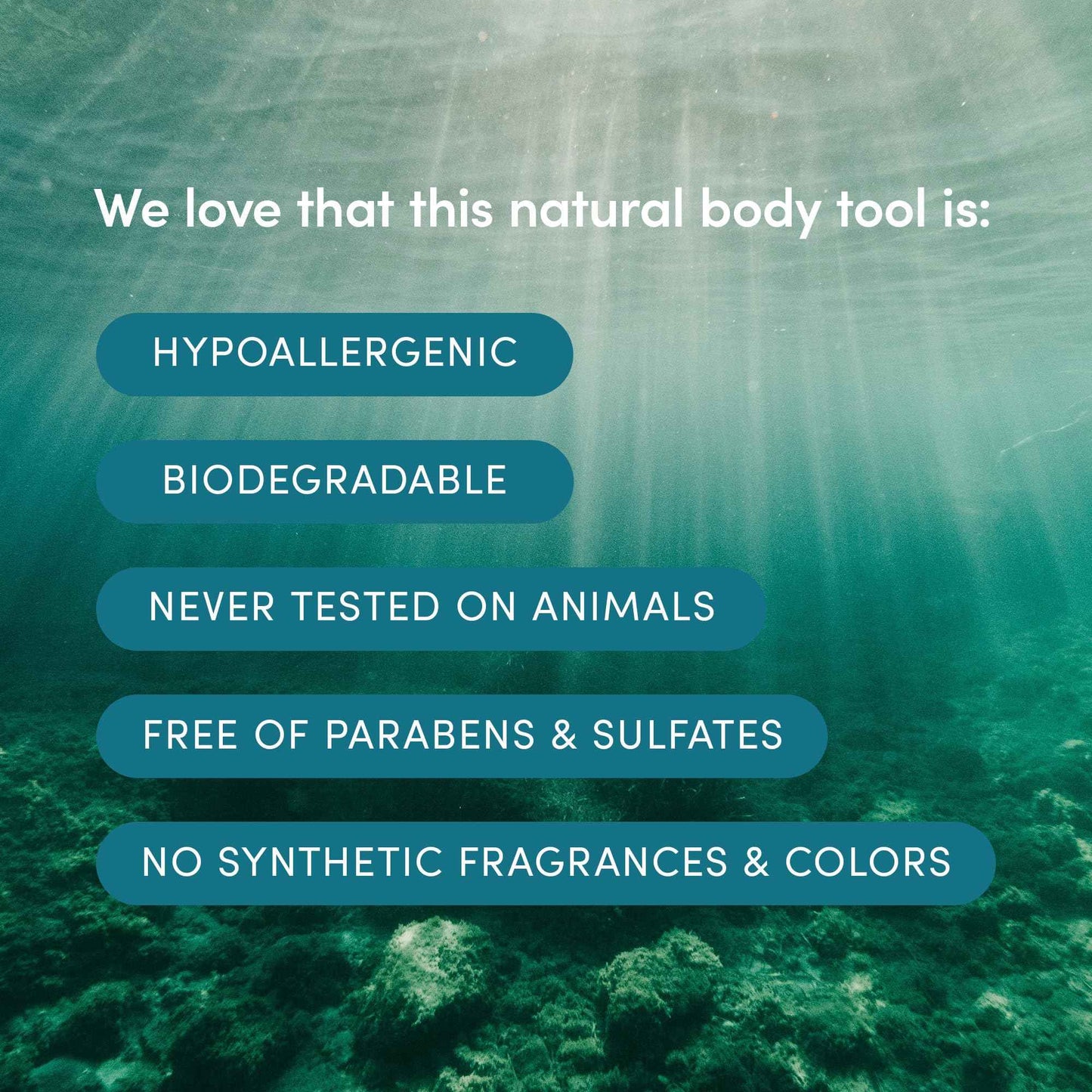 LATHER - Natural Sea Wool Sponge, 5-6" - Organic Exfoliating Body Scrubber - Soft, Gentle Cleansing - Hypoallergenic - All Skin Types - Florida Natural Loofah Sponge - Cruelty Free - Beauty & Skincare