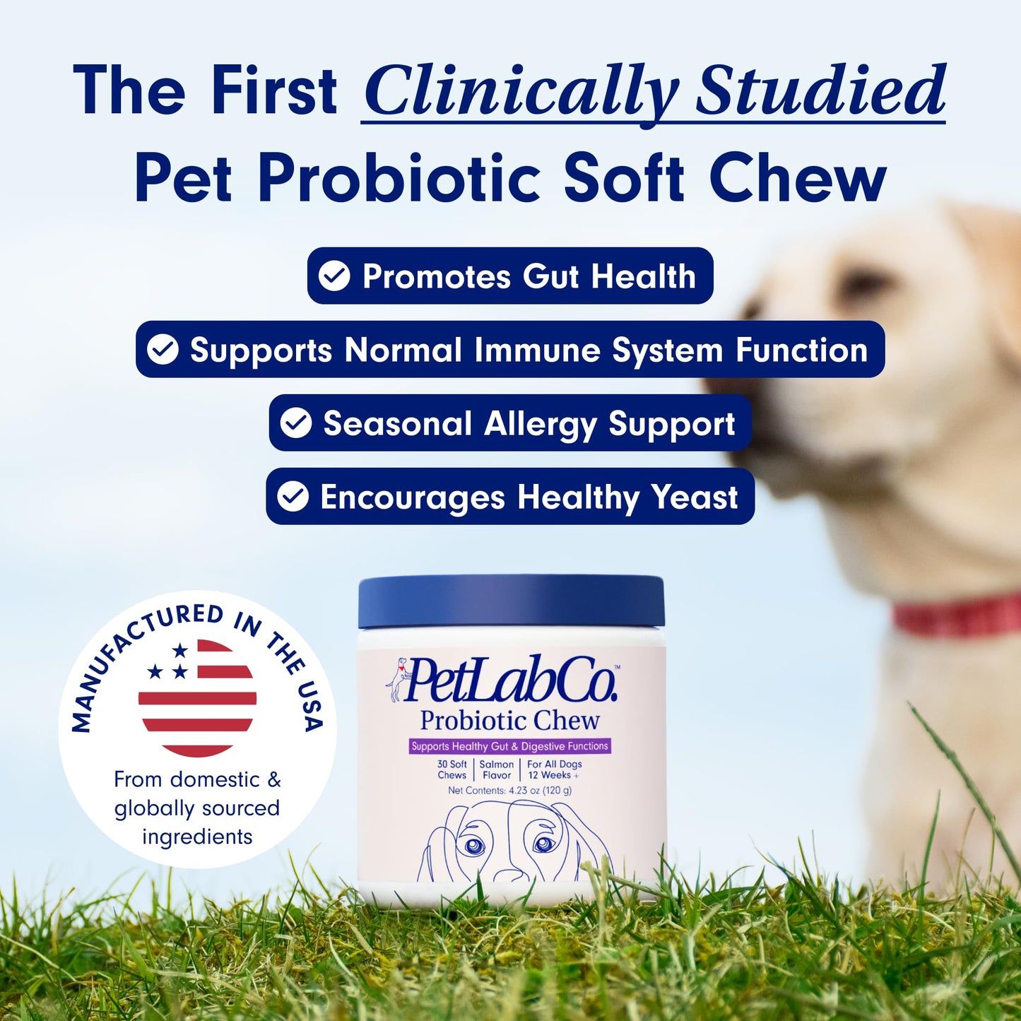 PetLab Co. Probiotics for Dogs, Support Gut Health, Diarrhea, Digestive Health & Seasonal Allergies - Salmon Flavor - 30 Soft Chews Pack of 2