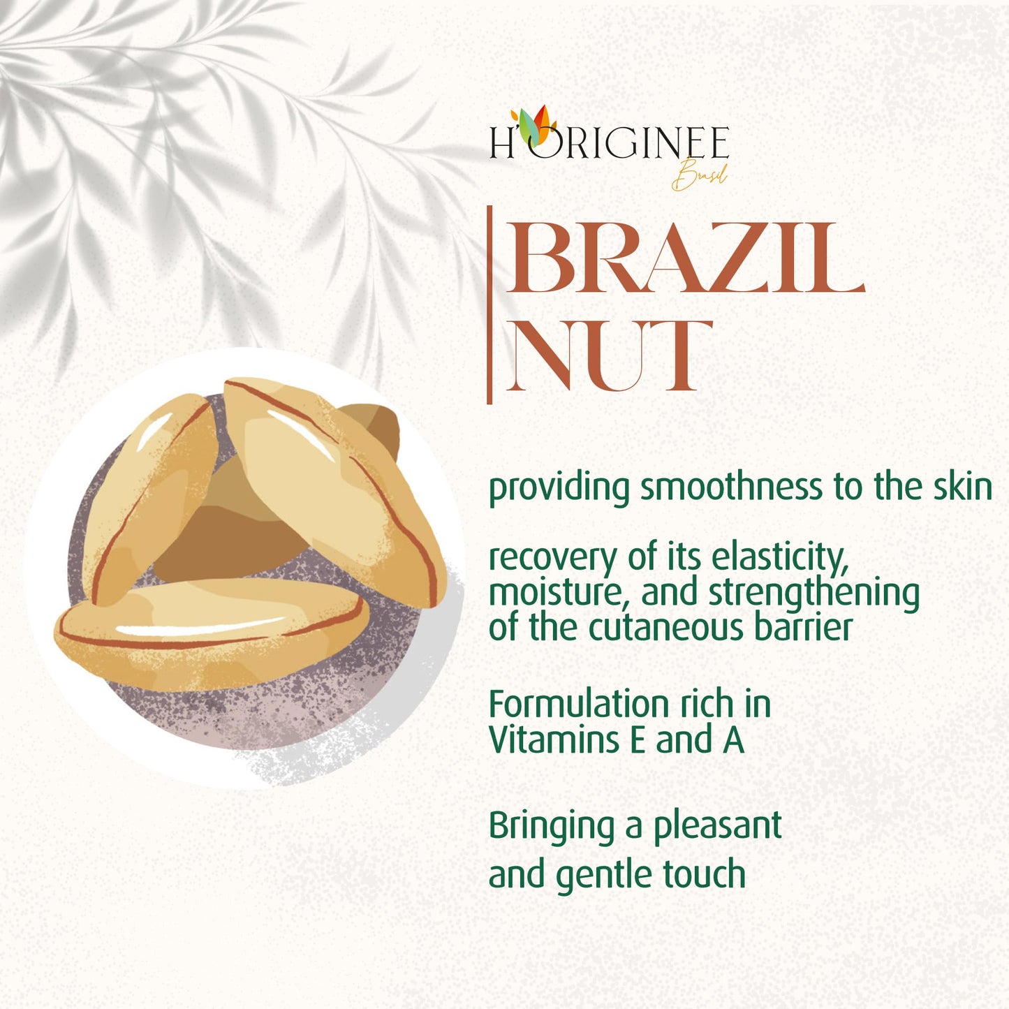 H’ORIGINÉE - Brazilian Nut Hand Cream - Feel The Amazon Power on Your Hands, Melaleuca & Olive Butter - Omega 3 & 6 - Hydrating & Moisturizing Hand Cream - Vegan & Natural Formula - 2.11 oz