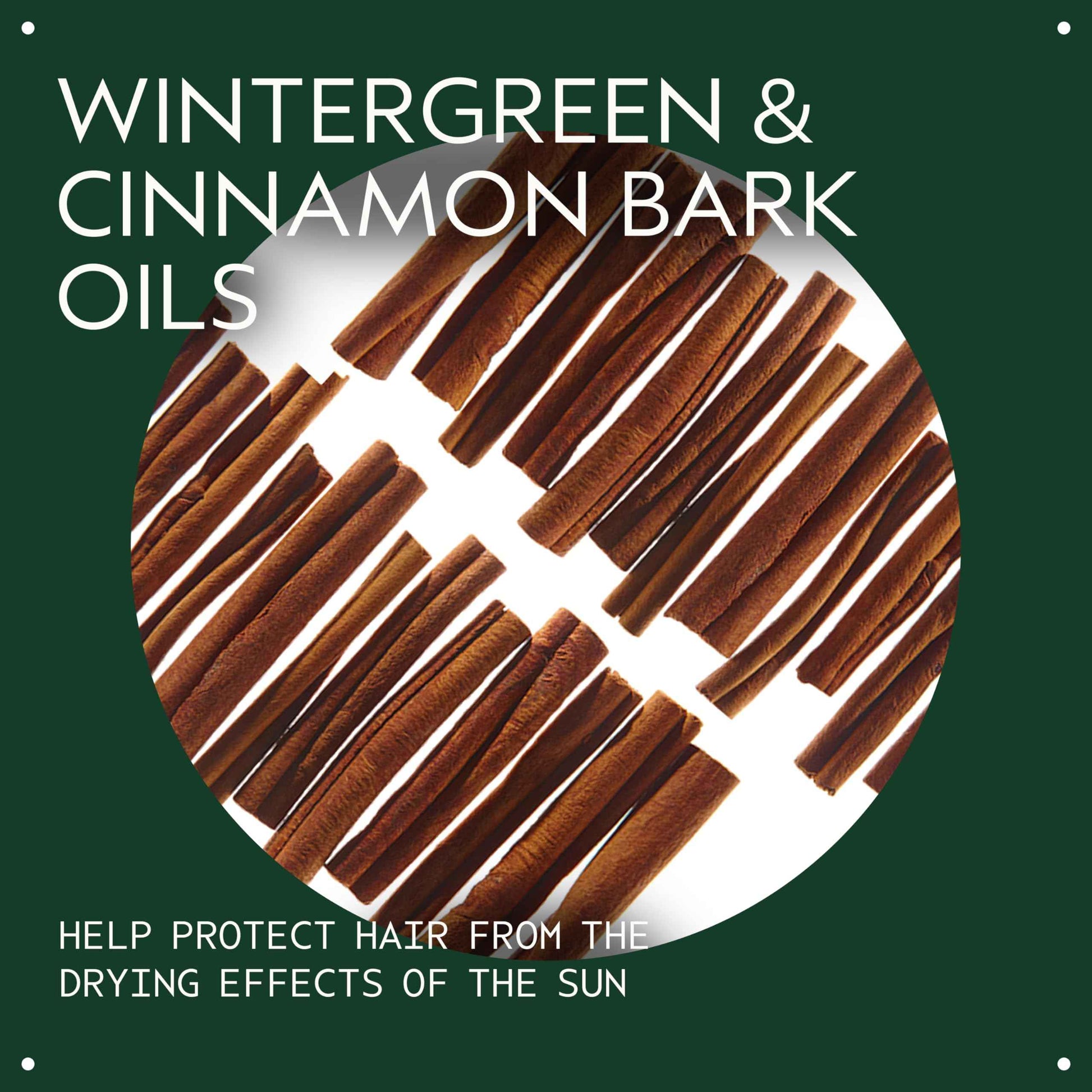 Aveda Sun Care Protective Hair Veil | UV Defense Hair Mist | Protects Against Summer Dryness | for All Hair Types, 3.4 Fl Oz