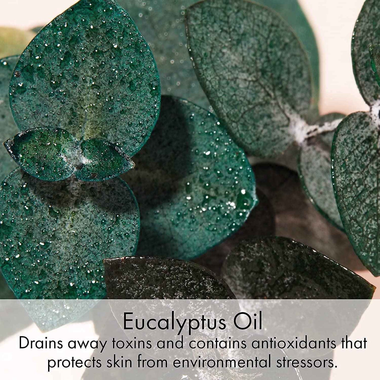 EVE LOM The Original Balm Cleanser - Facial Cleansing Balm - 5-in-1 Facial Cleanser & Muslin Cloth - Deep Cleansing & Gentle Exfoliation, Hydrating Skin Benefits, Removes Waterproof Make-Up - 20 ml