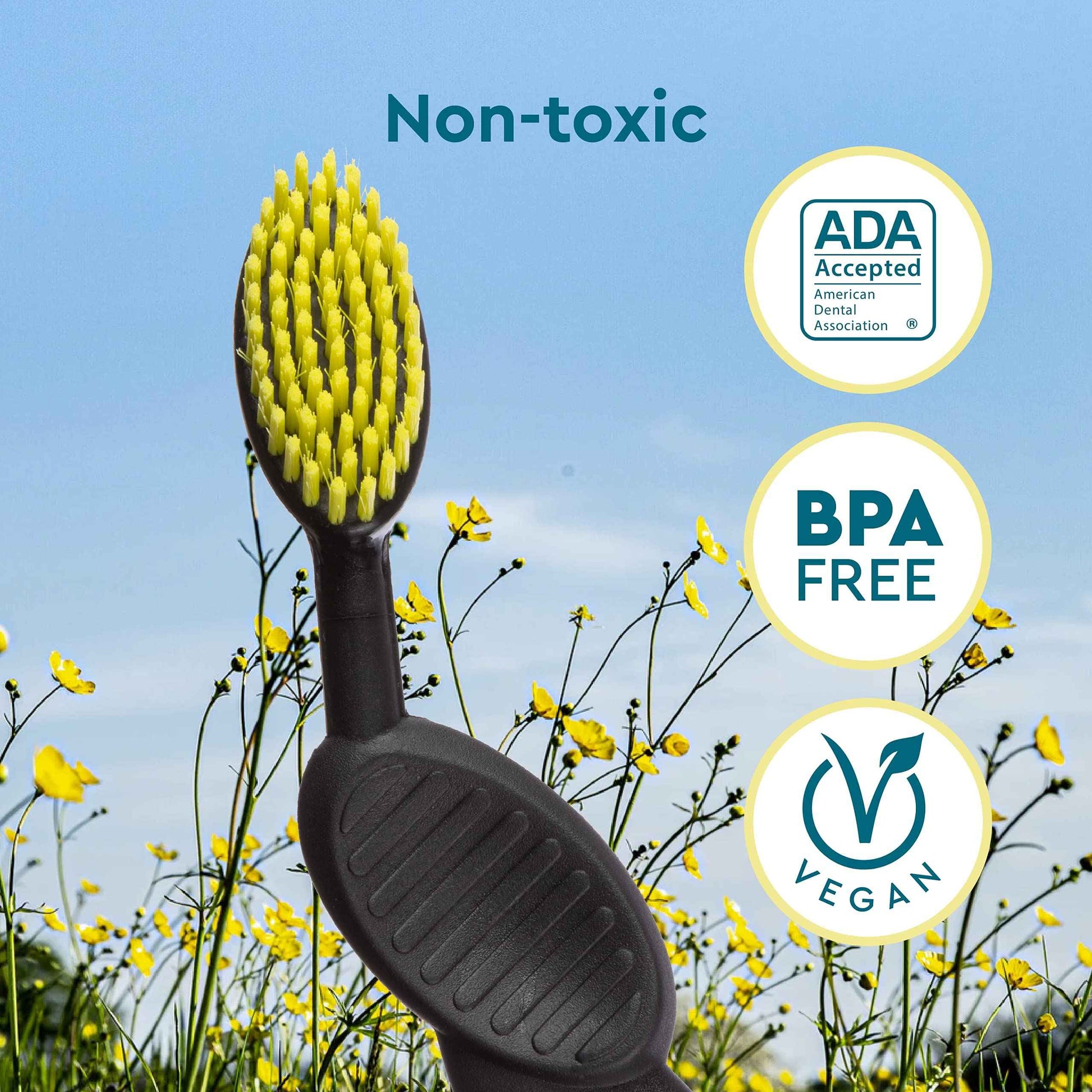 RADIUS Flex Brush Toothbrush Designed to Improve Gum Health & Reduce Gum Issues - Right Hand - Purple/Watermelon/Mint Green - Pack of 3