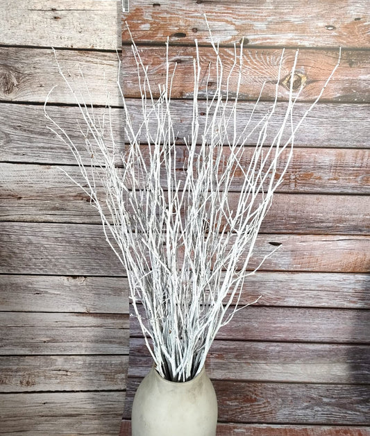 Decorative Birch Branches Decoration, 23 Inch Birch Stems for Wedding Decor,Dried Twigs for Christmas Decor (White)