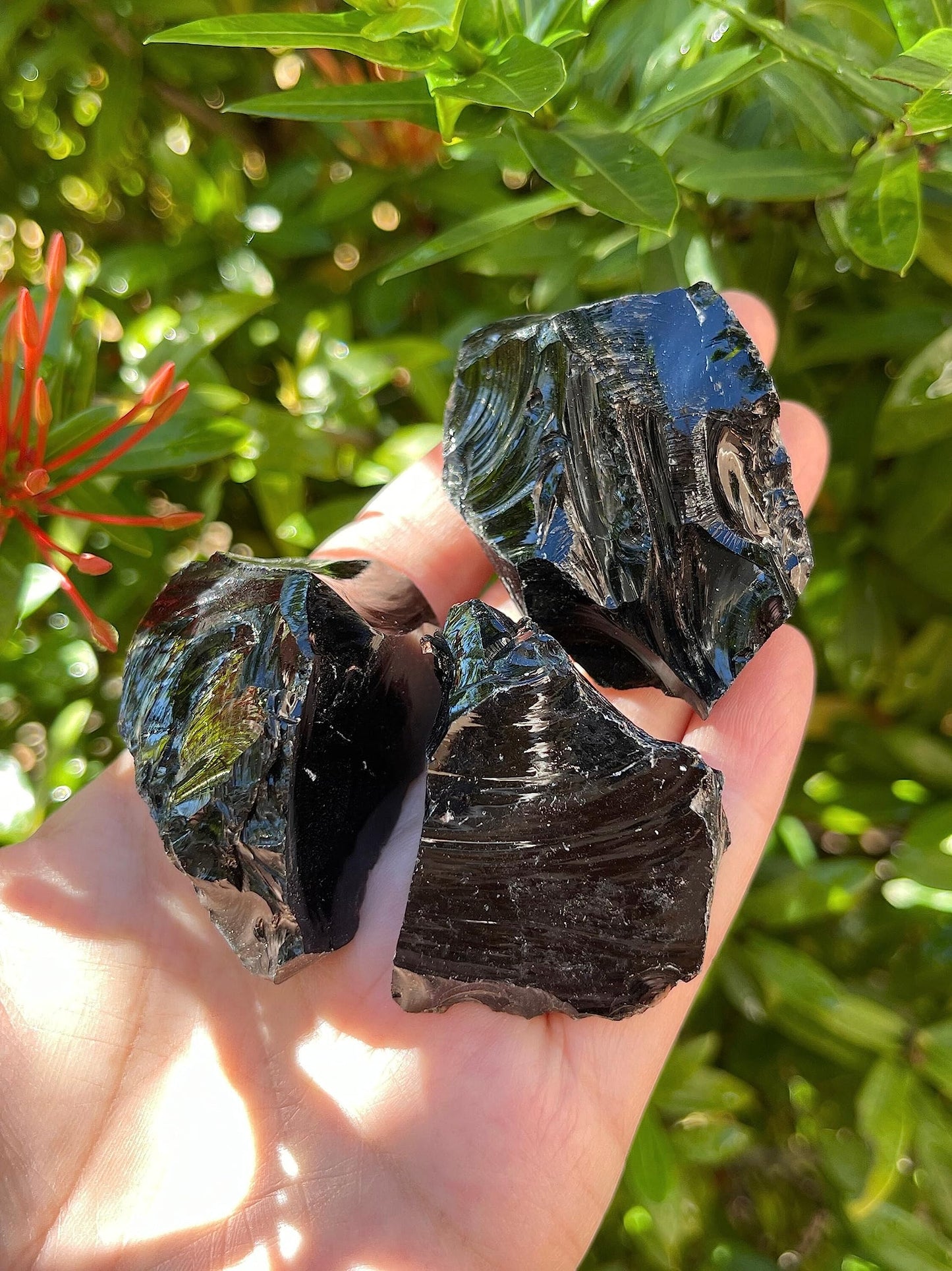 WHOLESALE Raw Black Obsidian Crystals, Natural Black Obsidian Stone, Natural Rough Black Obsidian crystals, Black Obsidian Rough, Black Obsidian Healing Crystals (Black Obsidian, 0.25 Pound)