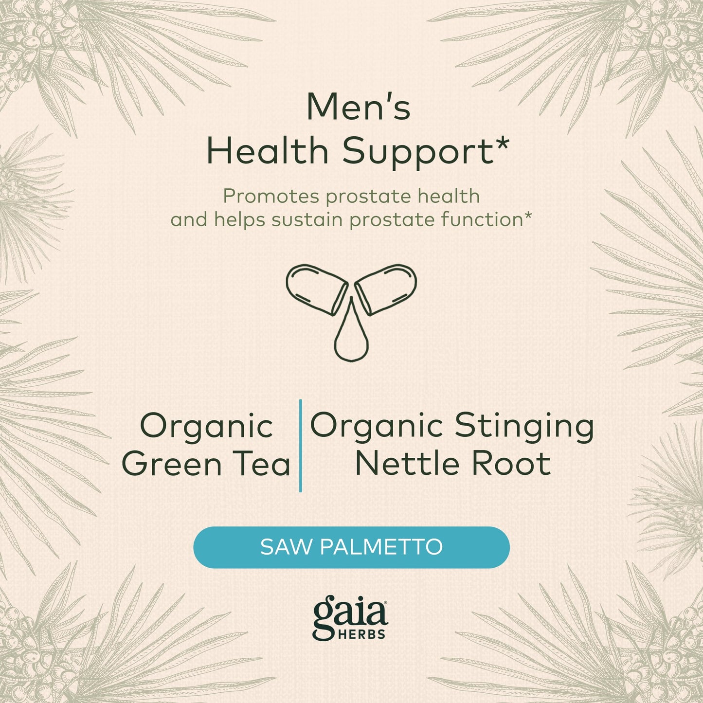 Gaia Herbs Prostate Health - Supports Prostate Health and Function for Men - with Saw Palmetto, Green Tea, Nettle Root, and White Sage - 60 Vegan Liquid Phyto-Capsules (20-Day Supply)