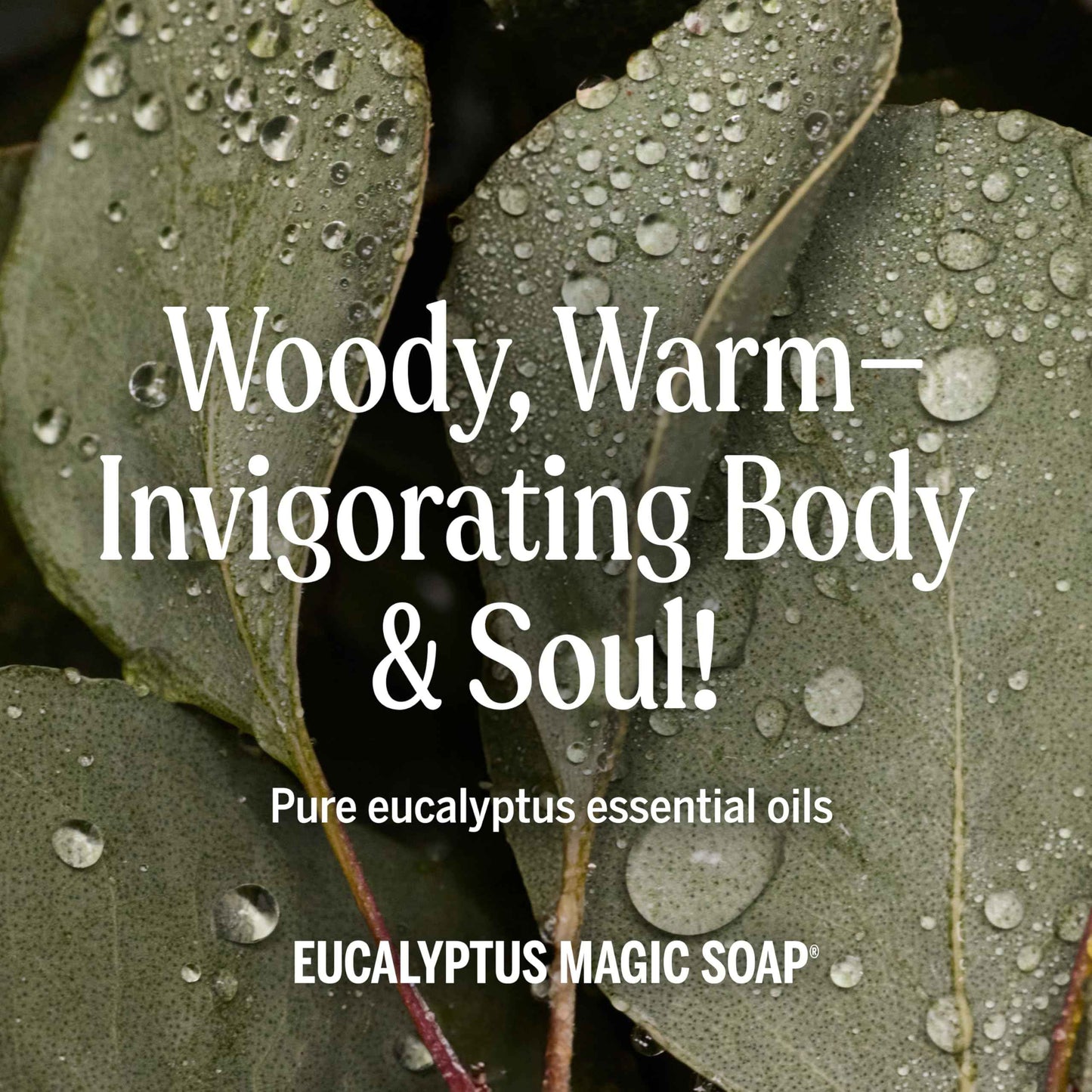 Dr. Bronner's Magic Soap - Pure-Castile Liquid Soap (Eucalyptus, 32 ounce, 2-Pack) -Regenerative Organic Certified Oils, 18-in-1 Uses: Body, Hair, Laundry, Pets & Dishes, Concentrated, Vegan, Non-GMO