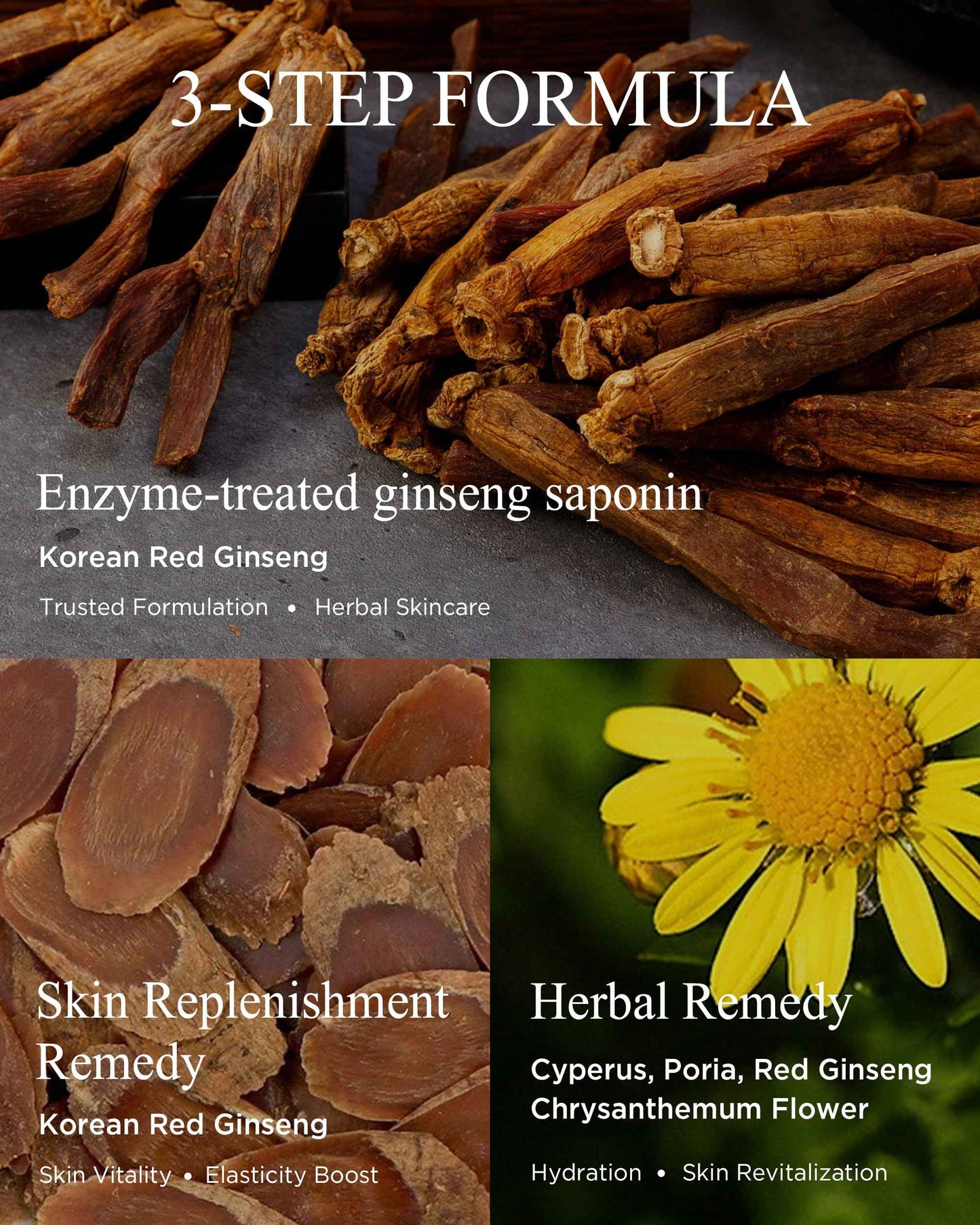 DANAHAN Bon Yeon Jin Face Toner for Dry Skin - Korean Red Ginseng Hydrating Facial Toner - Moisture Balancing Anti-Aging Firming for Women Men Elasticity Support, 5.41 fl.oz.