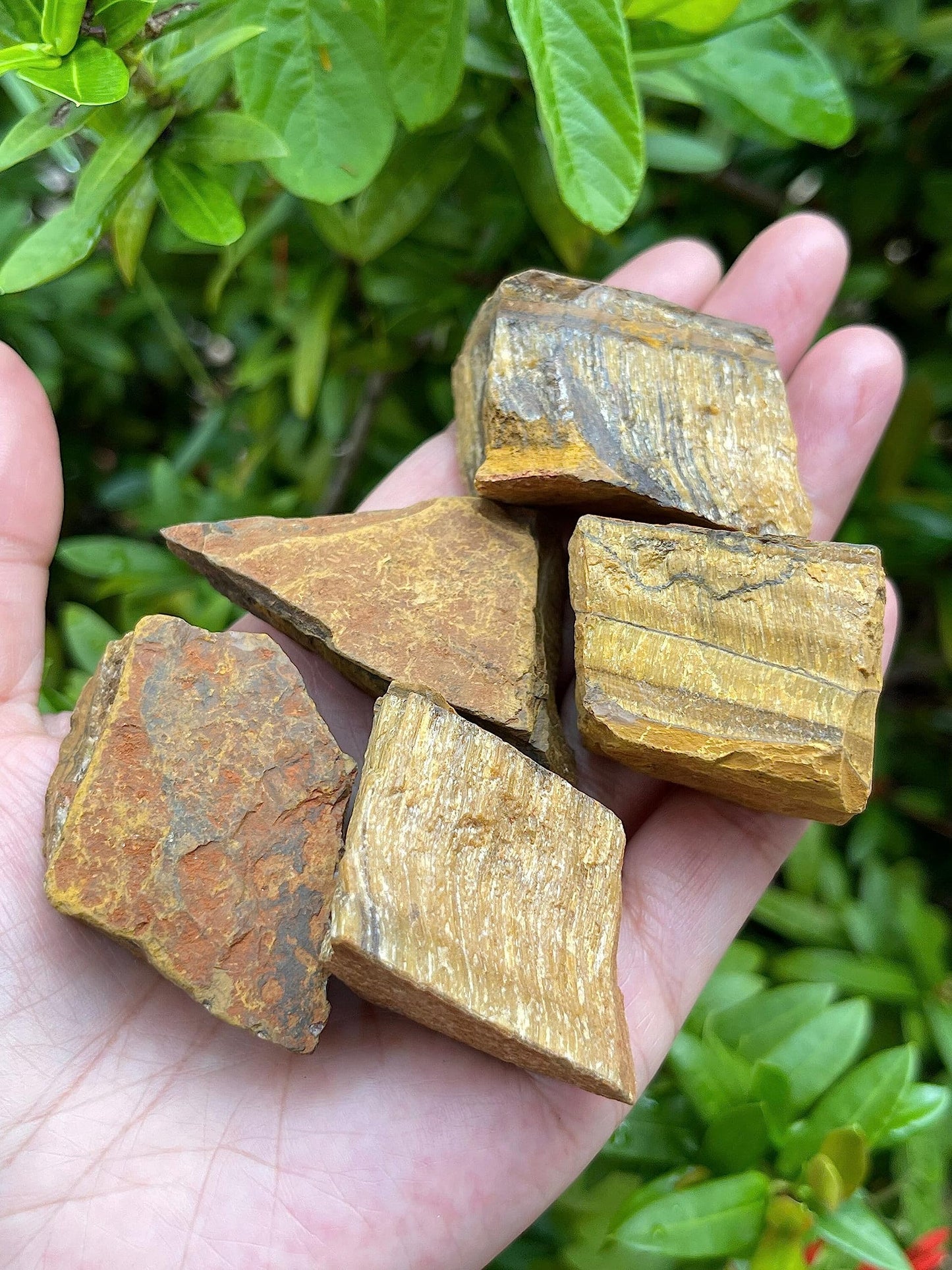 GAF TREASURES Wholesale Raw Tiger Eye Crystals, Natural Tiger Eye Stone, Natural Rough Tiger Eye Crystals, Tiger Eye Rough, Tiger Eye Healing Crystals (Tiger Eye, 0.25 Pound)