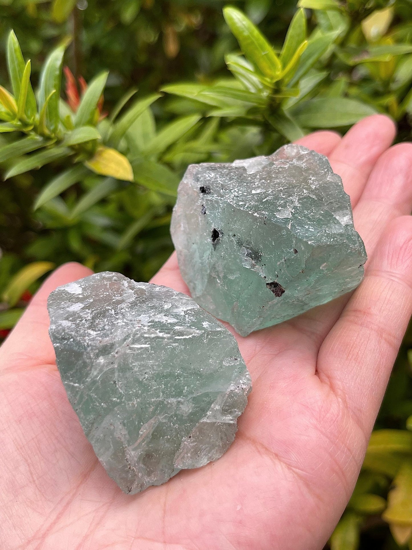 WHOLESALE Raw Green Fluorite Crystals, Natural Green Fluorite Stone, Natural Rough Green Fluorite crystals, Green Fluorite Rough, Green Fluorite Healing Crystals (Green Fluorite, 0.25 Pound)