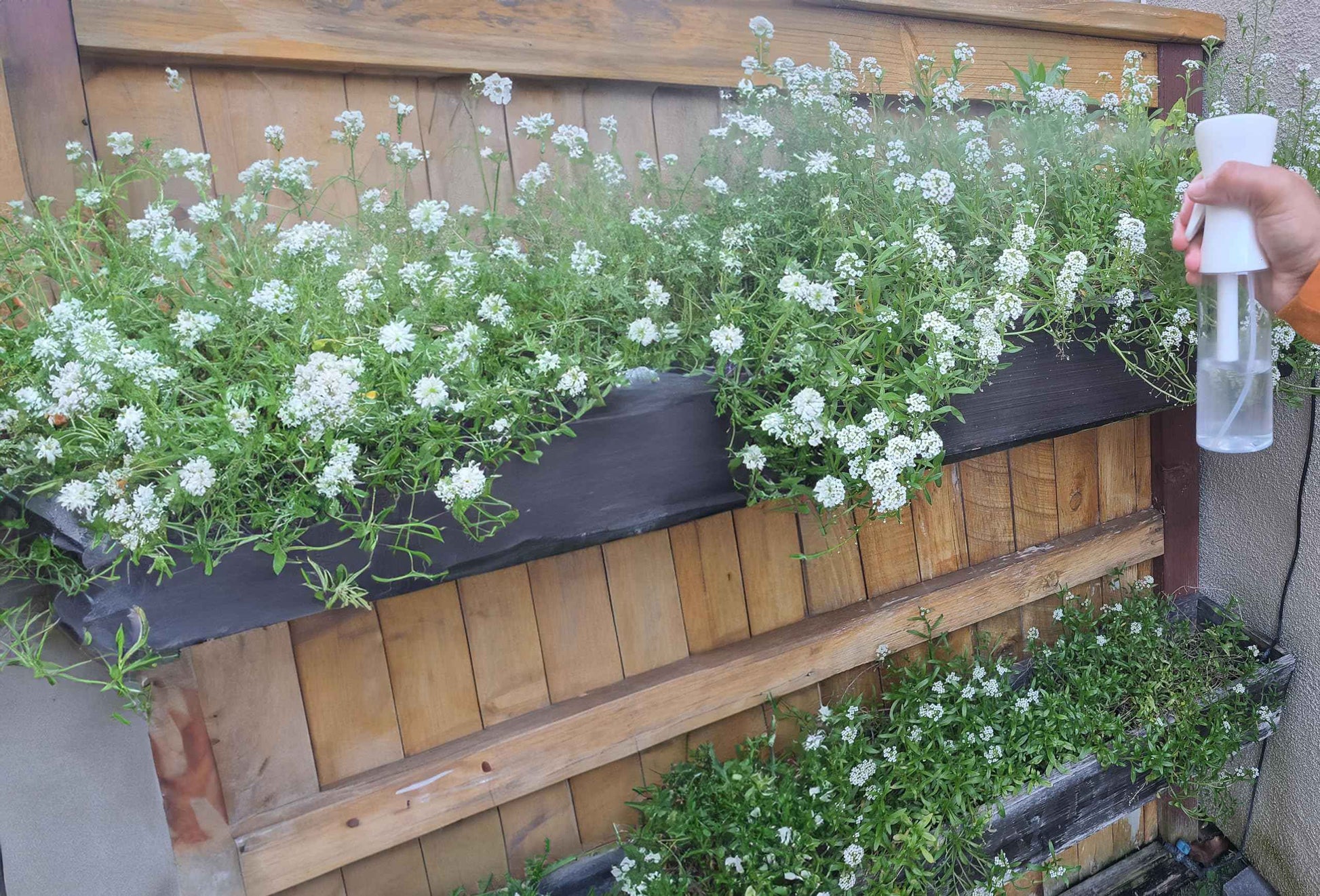 Rabayya Continuous Mist Hair Spray Bottle (Continuous Water Mister for Plants, Skin Care, Cleaning, Hairstyling & Misting) 10.1 Ounce