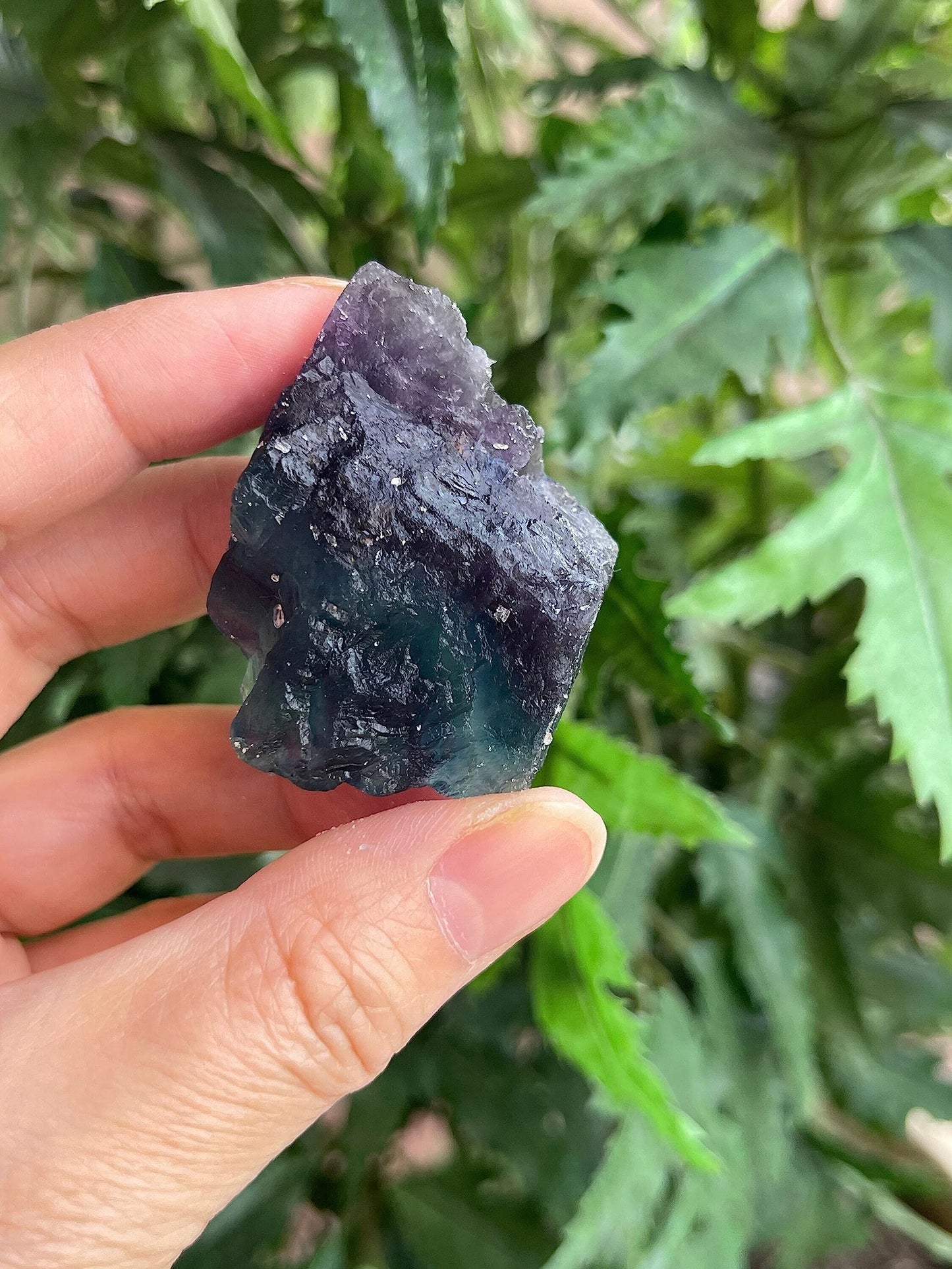 GAF TREASURES Wholesale Raw Rainbow Fluorite Crystals, Natural Rainbow Fluorite Stone, Natural Rough Rainbow Fluorite Crystals, Rainbow Fluorite Healing Crystals (Rainbow Fluorite, 0.25 Pound)