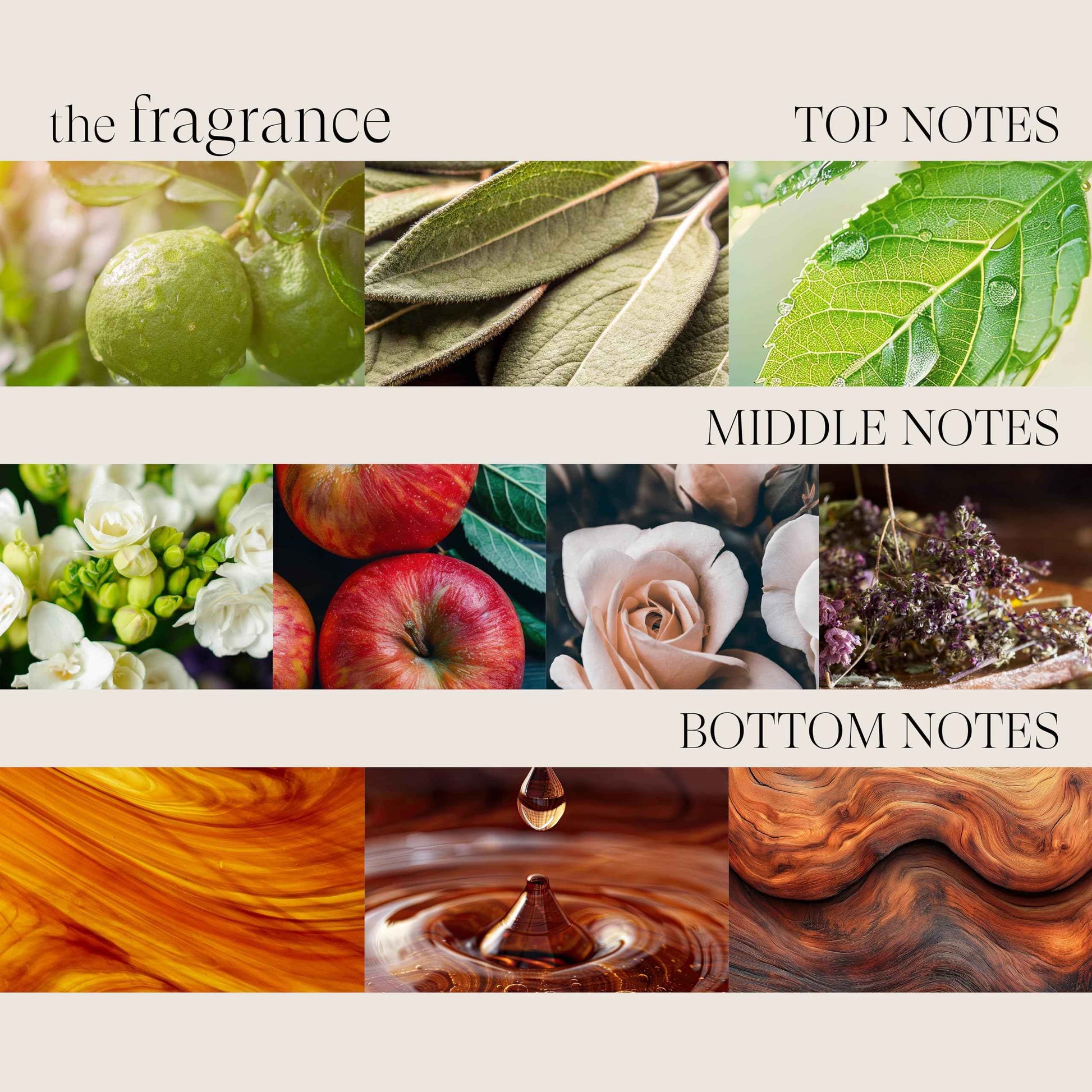 L'ANZA Healing Style Dramatic F/X Hair Spray Firm Hold Finishing Hairspray, Anti Humidity & Heat Protection, Long-Lasting Control, Adds Shine & Texture, Color Safe Anti-Frizz Sulfate Free (10.6 Fl Oz)