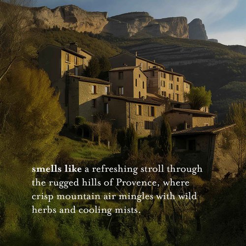 A LA MAISON French Liquid Hand Soap, Rosemary Mint - Natural Hand Wash Made with Essential Oils - Biodegradable, Plant-Based, Vegan, Cruelty-Free, Alcohol & Paraben Free (16.9 oz, 2 Pack)