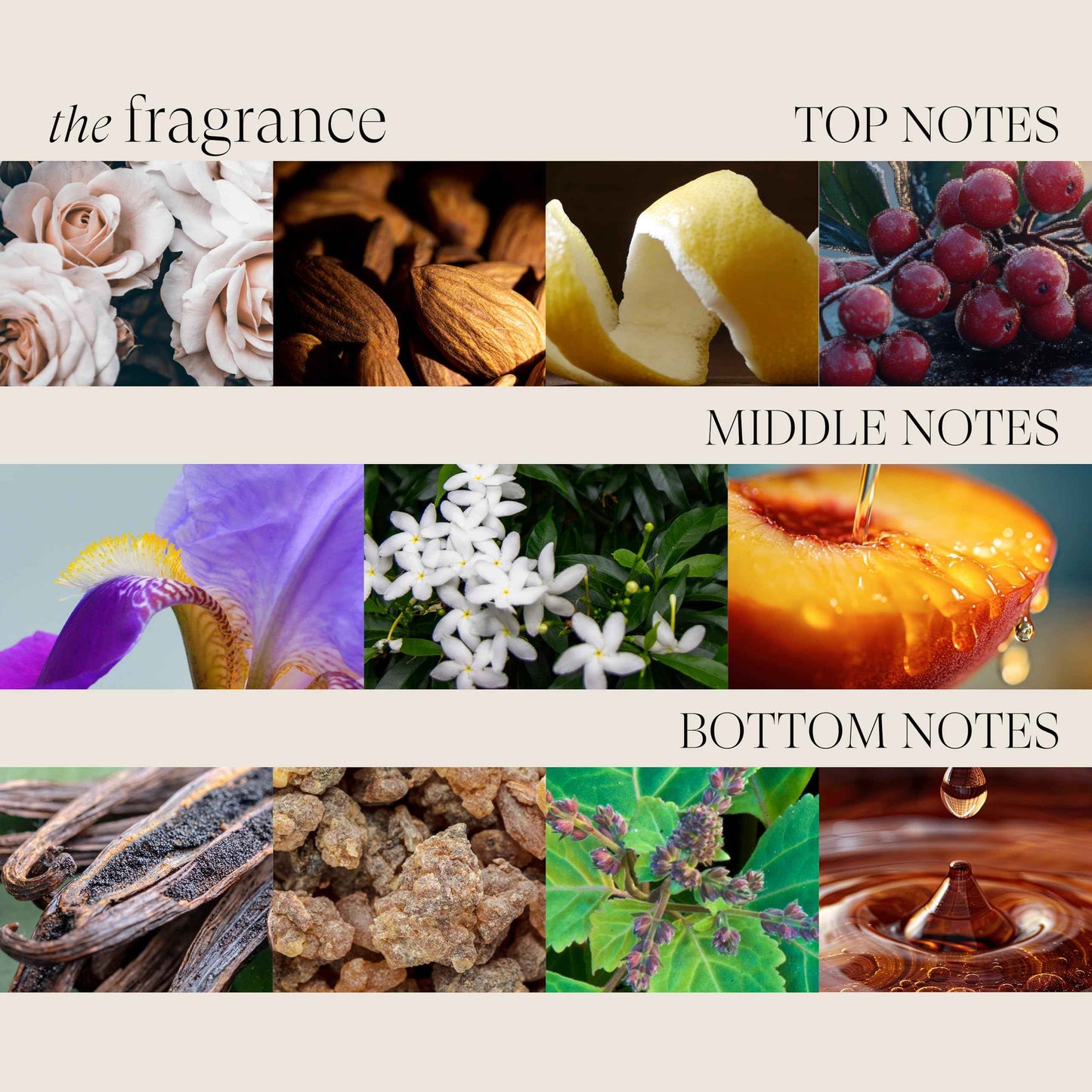 L'ANZA Keratin Healing Oil Hair Treatment, Hair Oil Revives & Nourishes Dry Damaged Hair & Scalp, Sulfate Free with Phyto IV Complex, Cruelty Free Volumizing Hair Care with UV Protection (1.7 Fl Oz)