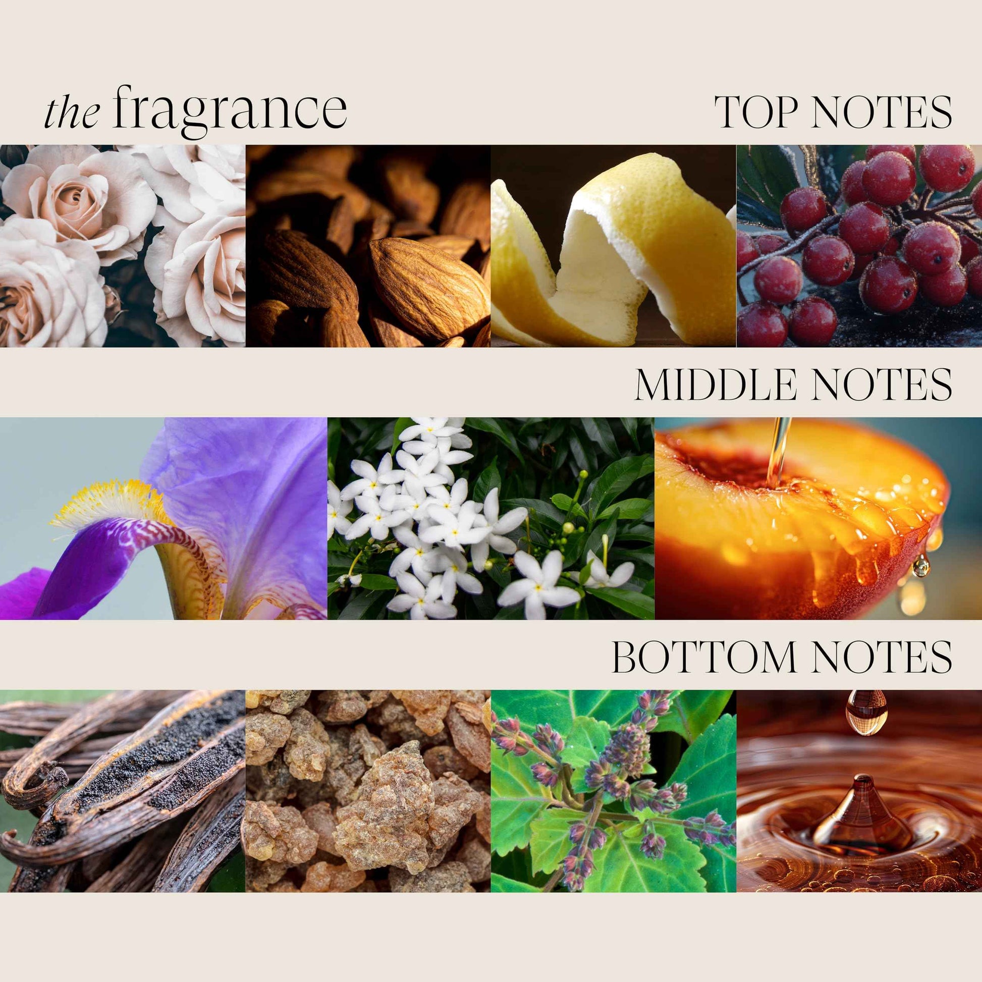 L'ANZA Keratin Healing Oil Hair Treatment, Hair Oil Revives & Nourishes Dry Damaged Hair & Scalp, Sulfate Free with Phyto IV Complex, Cruelty Free Volumizing Hair Care with UV Protection (1.7 Fl Oz)