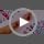 48 Pc Butterfly Party Favors Set - Temporary Tattoos & Slap Bracelets