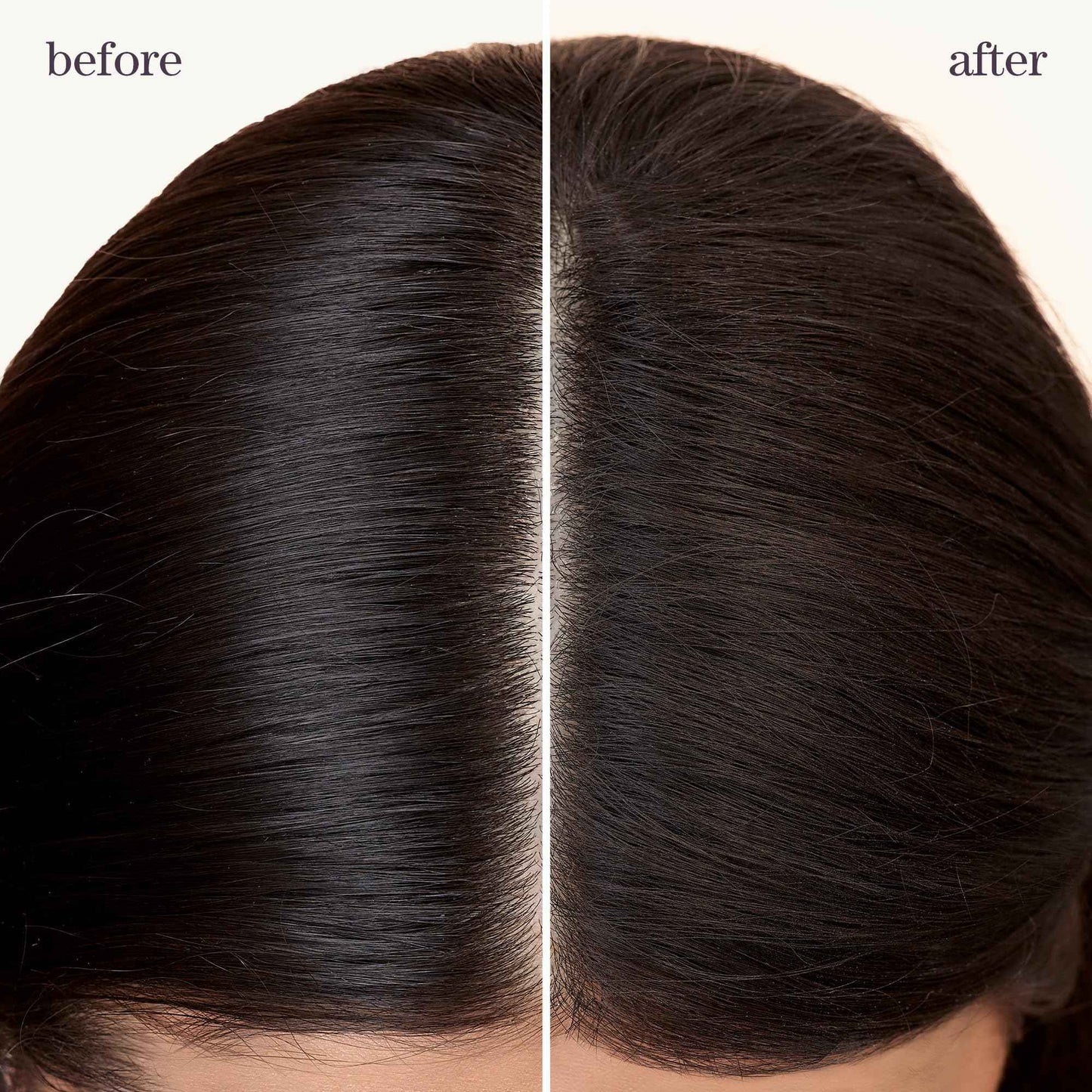 Pureology Style + Protect Refresh & Go Dry Shampoo | For Oily, Color-Treated Hair | Volumizing & Protective Dry Shampoo | Silicone-Free | Vegan | Updated Packaging | 5.3 Oz. |